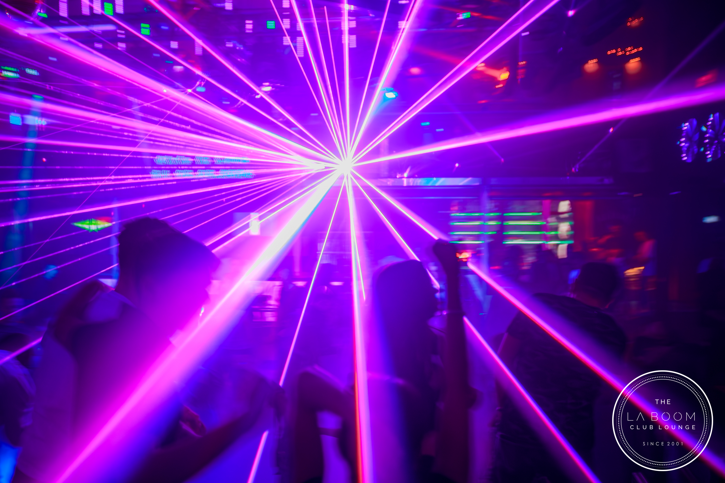 IMG 4161 Verbessert RR