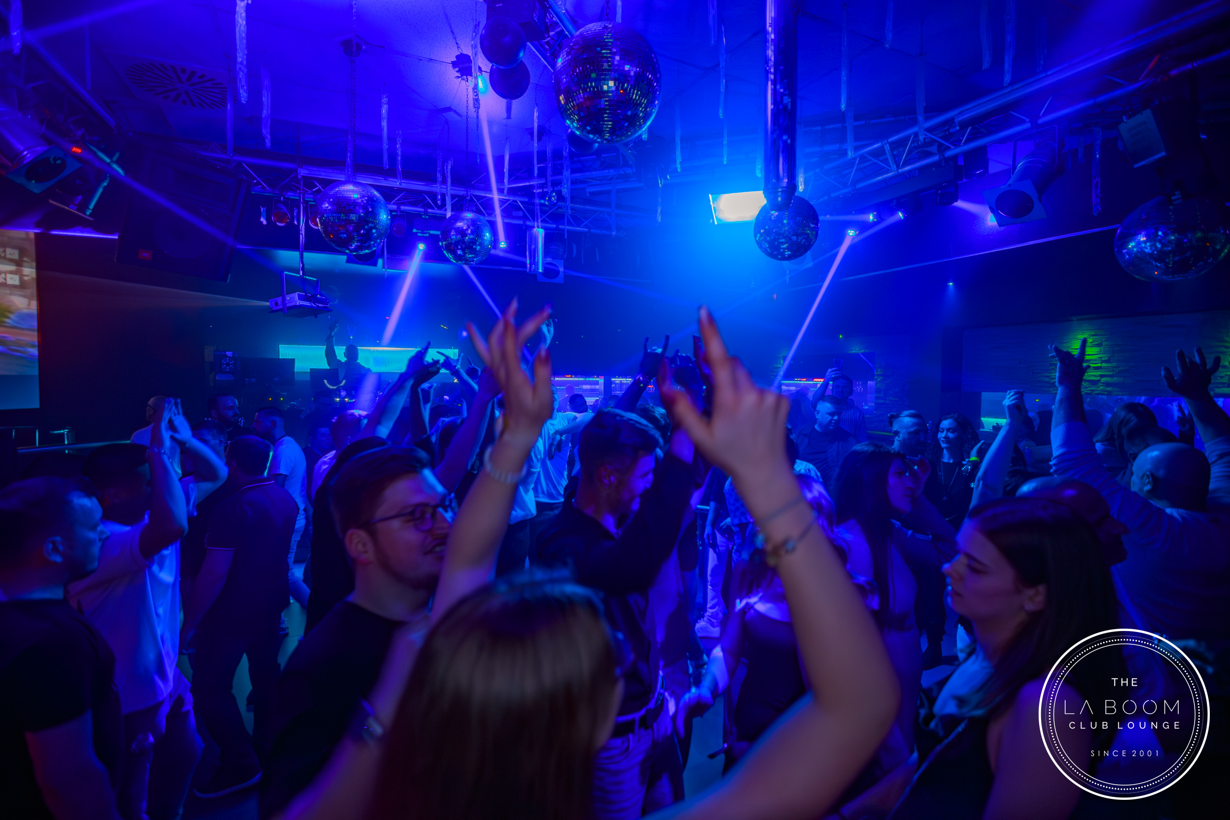 IMG 4571 Verbessert RR