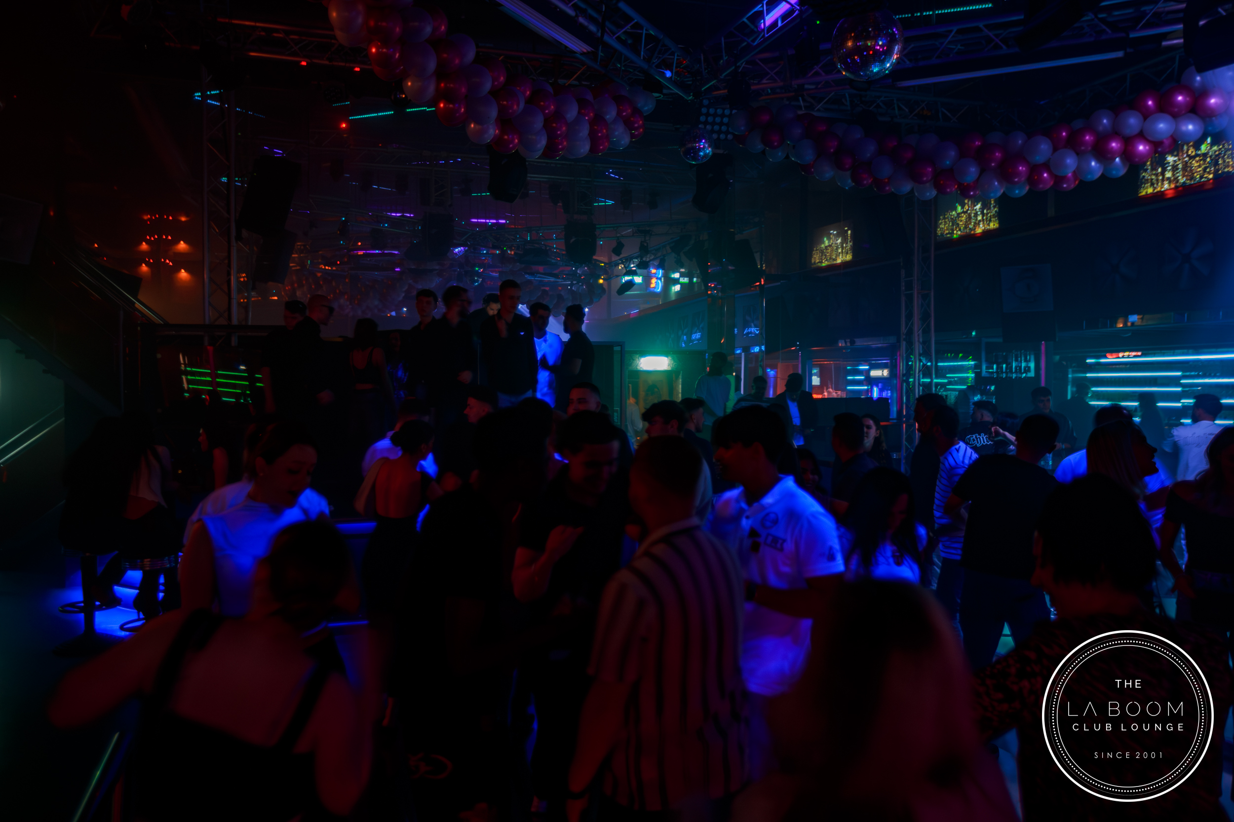 IMG 5161 Verbessert RR