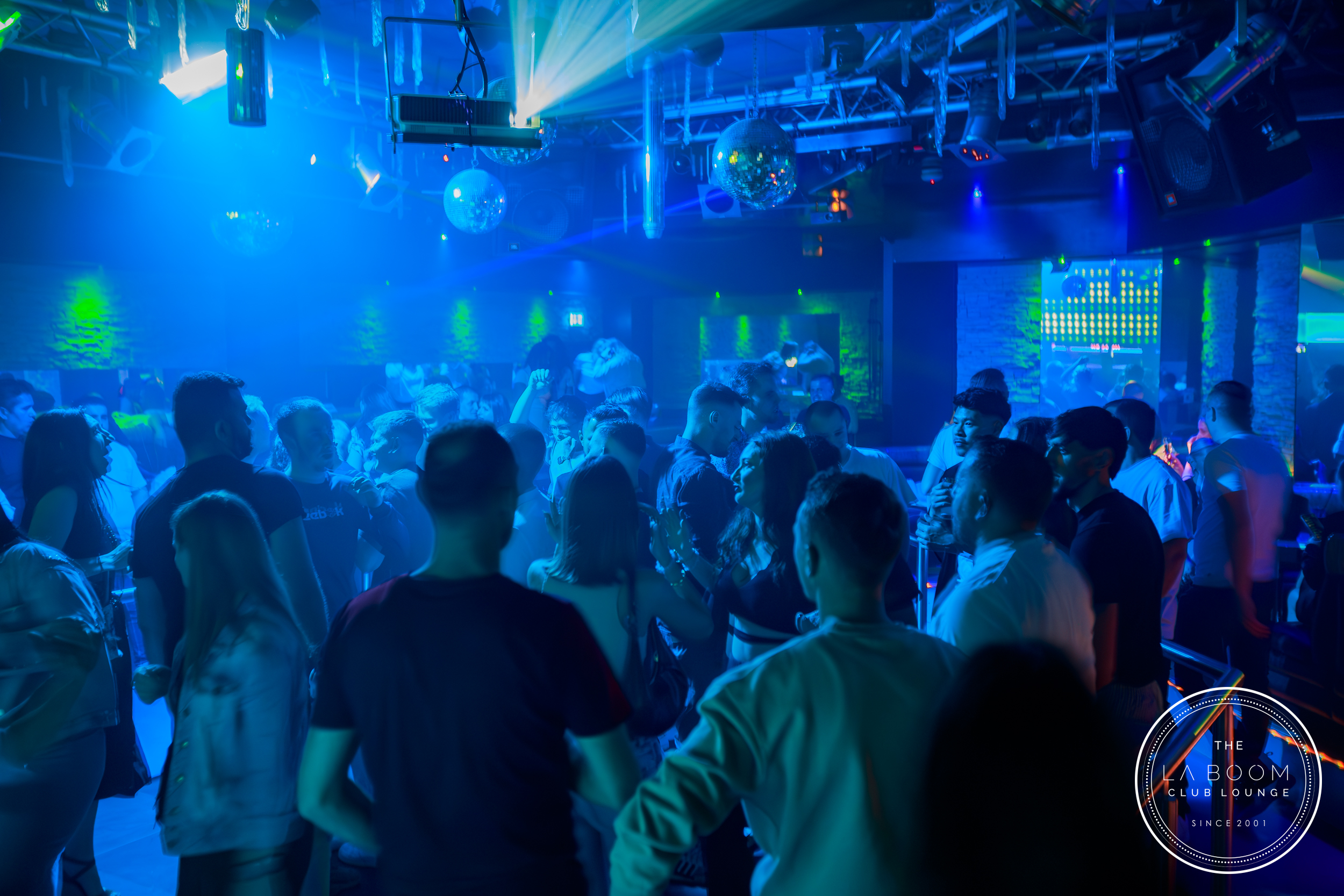 IMG 5183 Verbessert RR