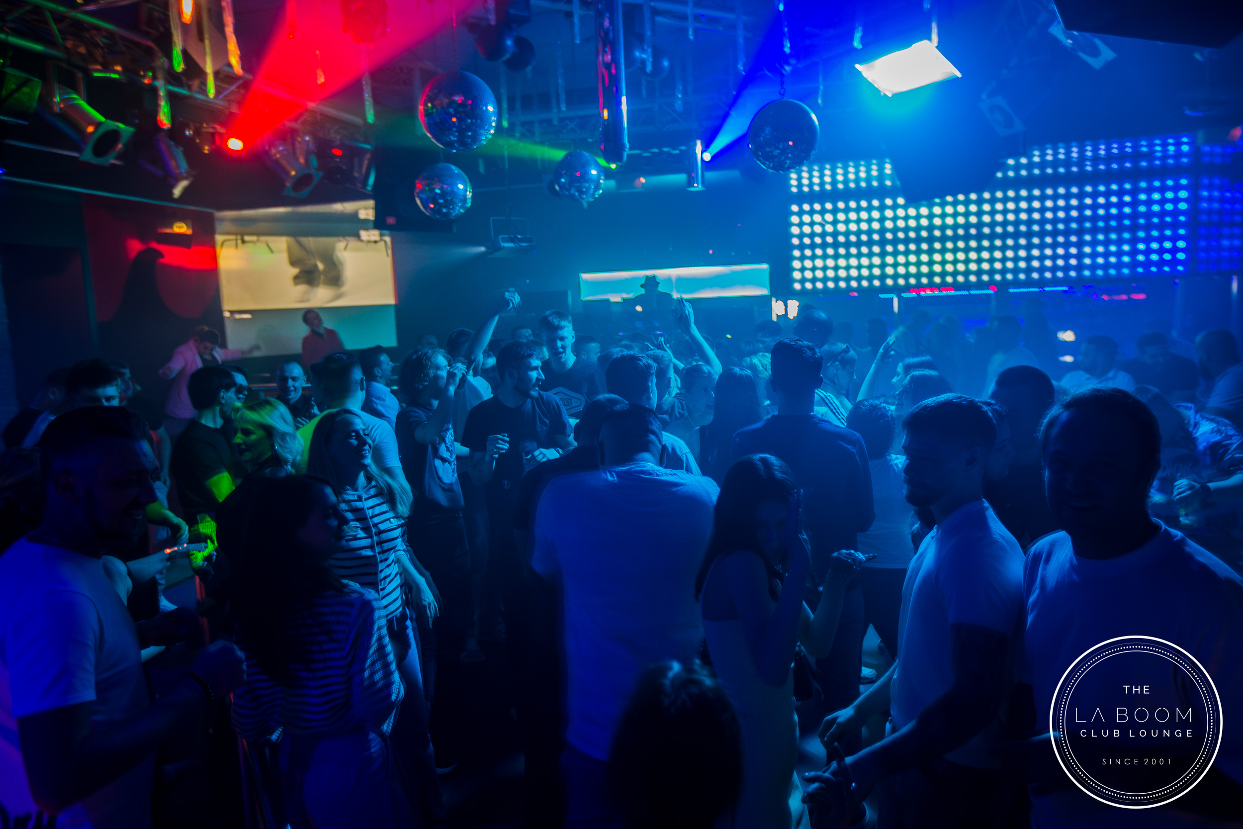 IMG 5209 Verbessert RR