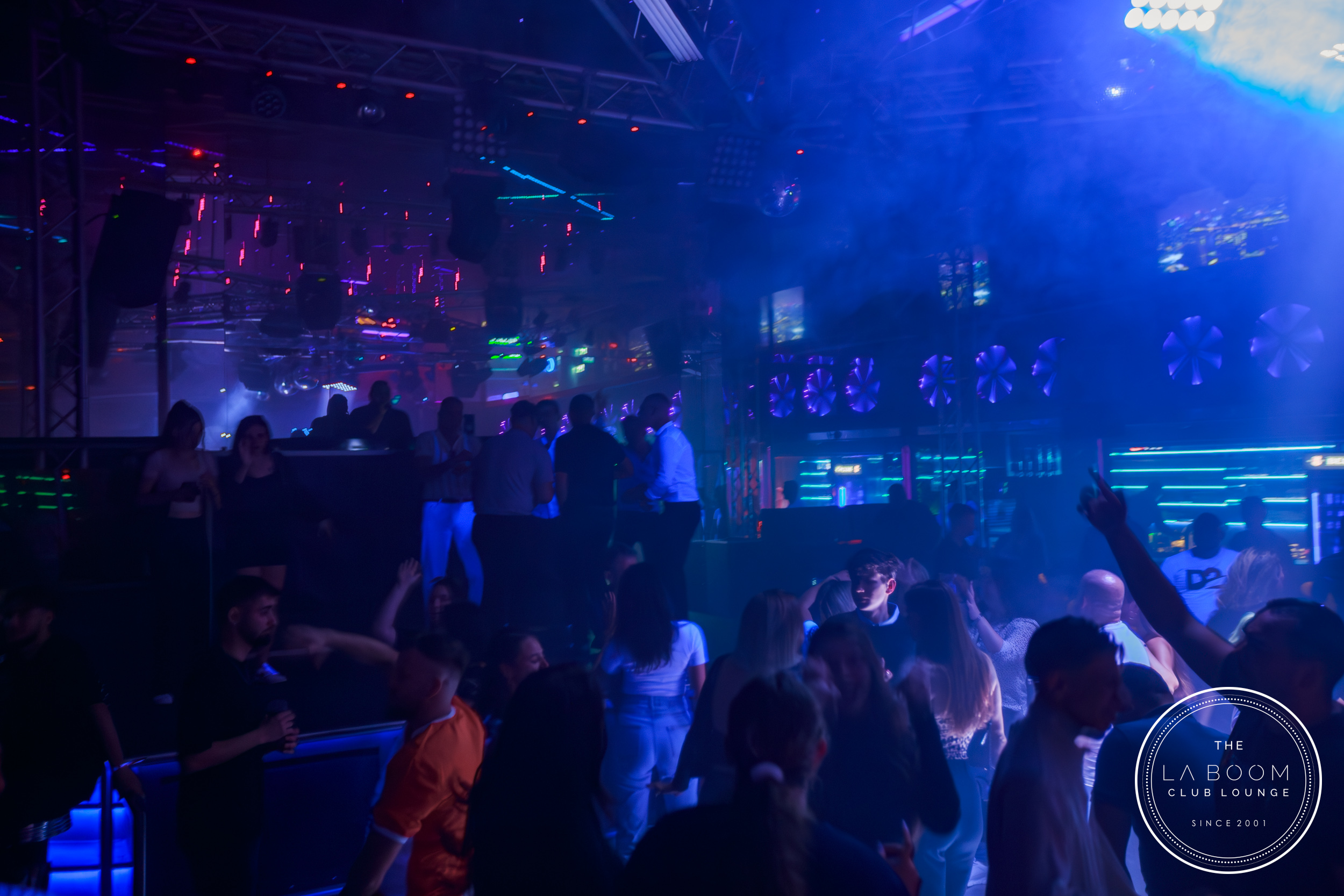 IMG 5659 Verbessert RR