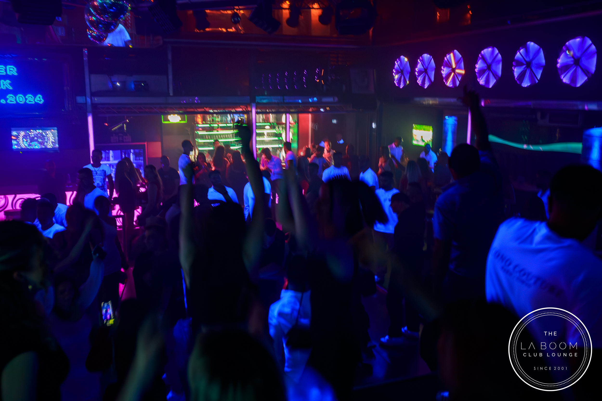 IMG 5825 Verbessert RR