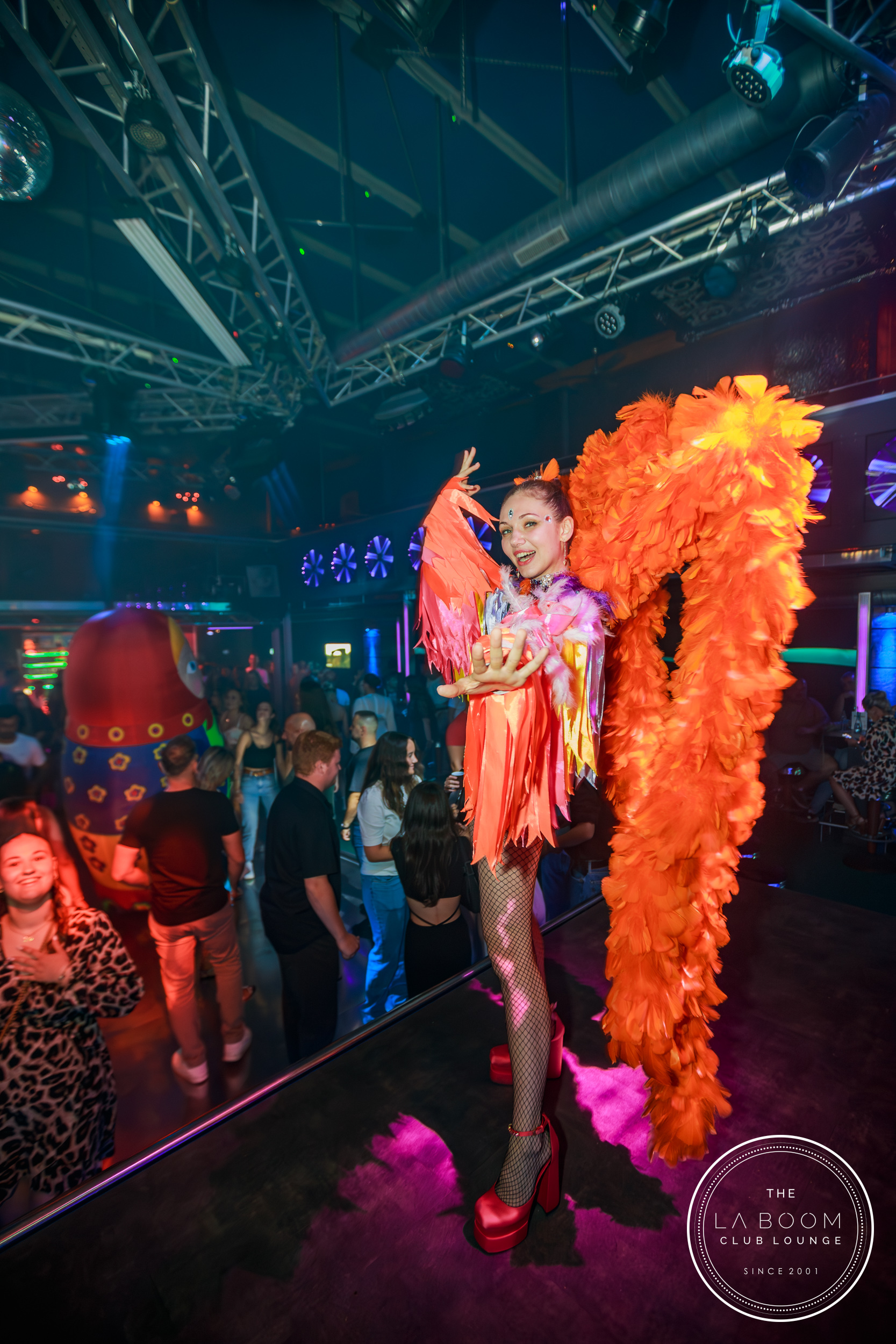 IMG 6016 Verbessert RR