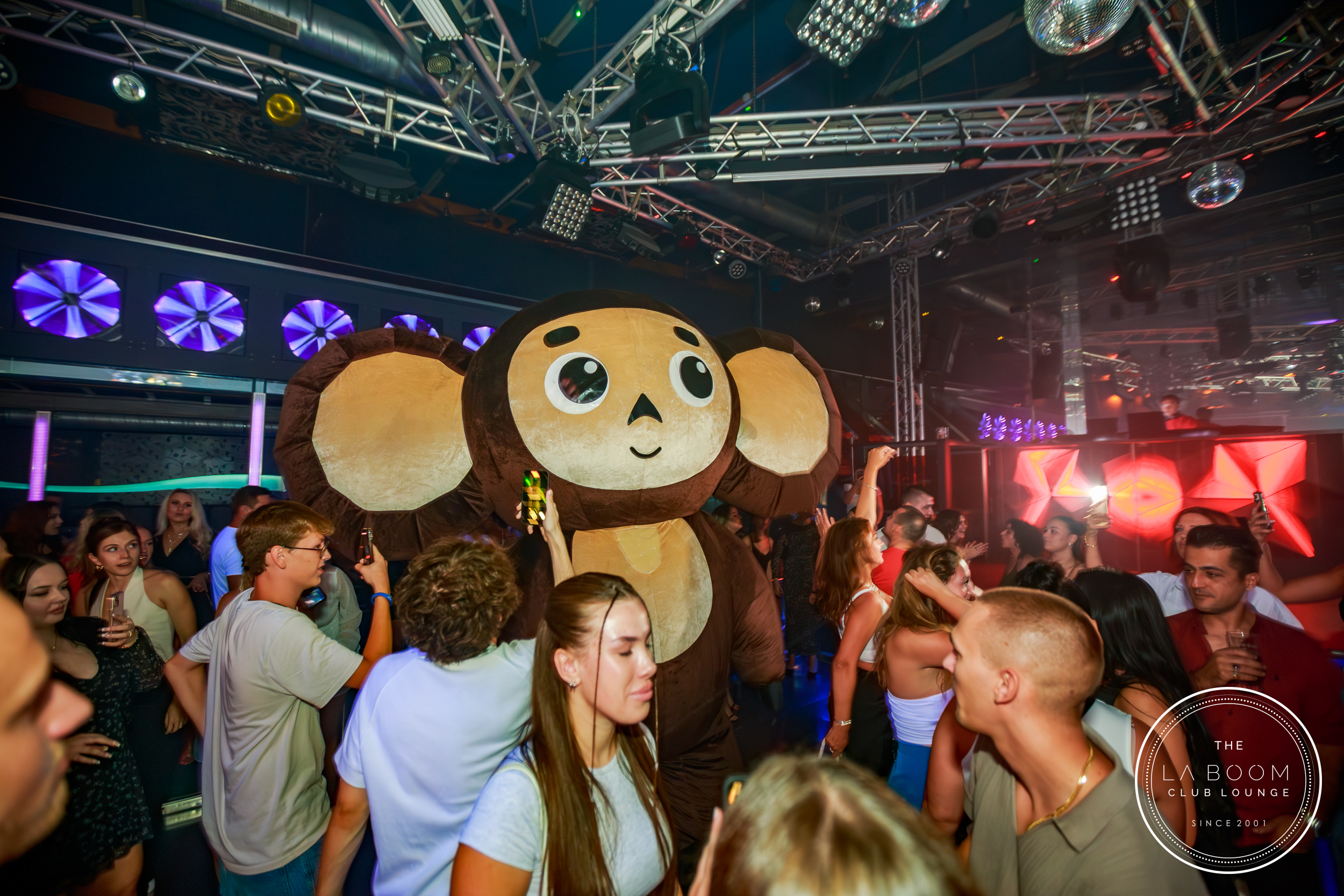 IMG 6031 Verbessert RR