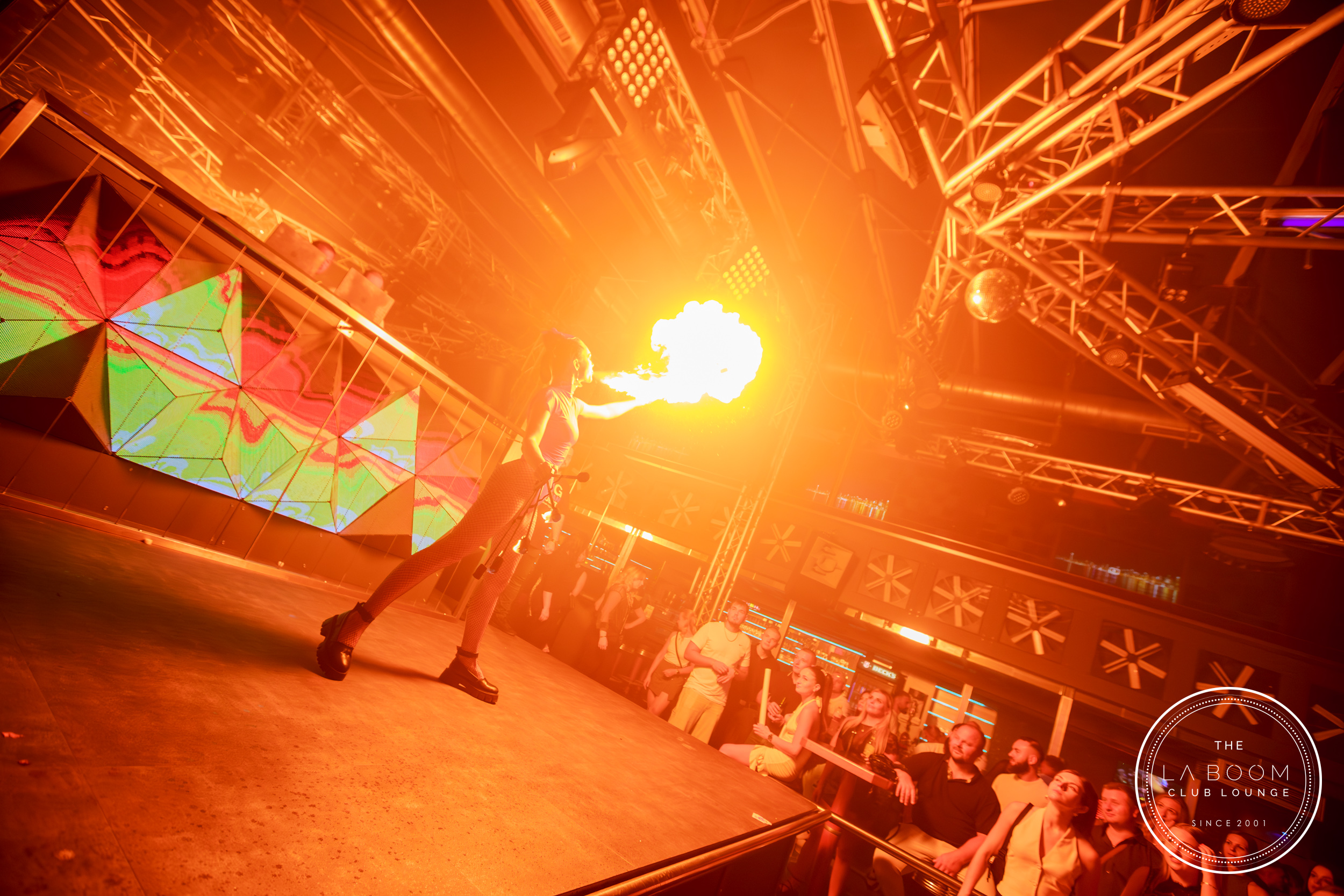 IMG 6203 Verbessert RR