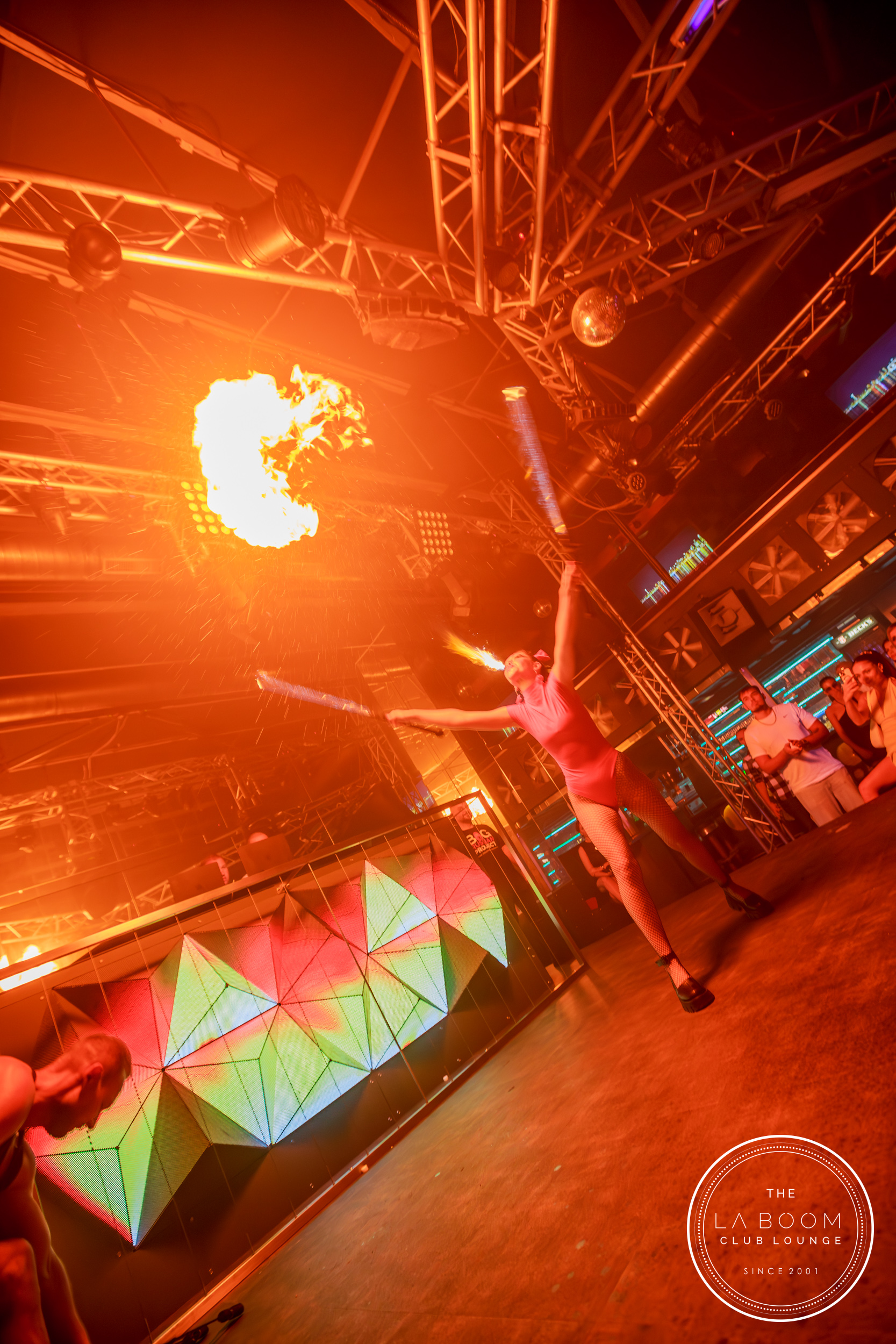 IMG 6204 Verbessert RR