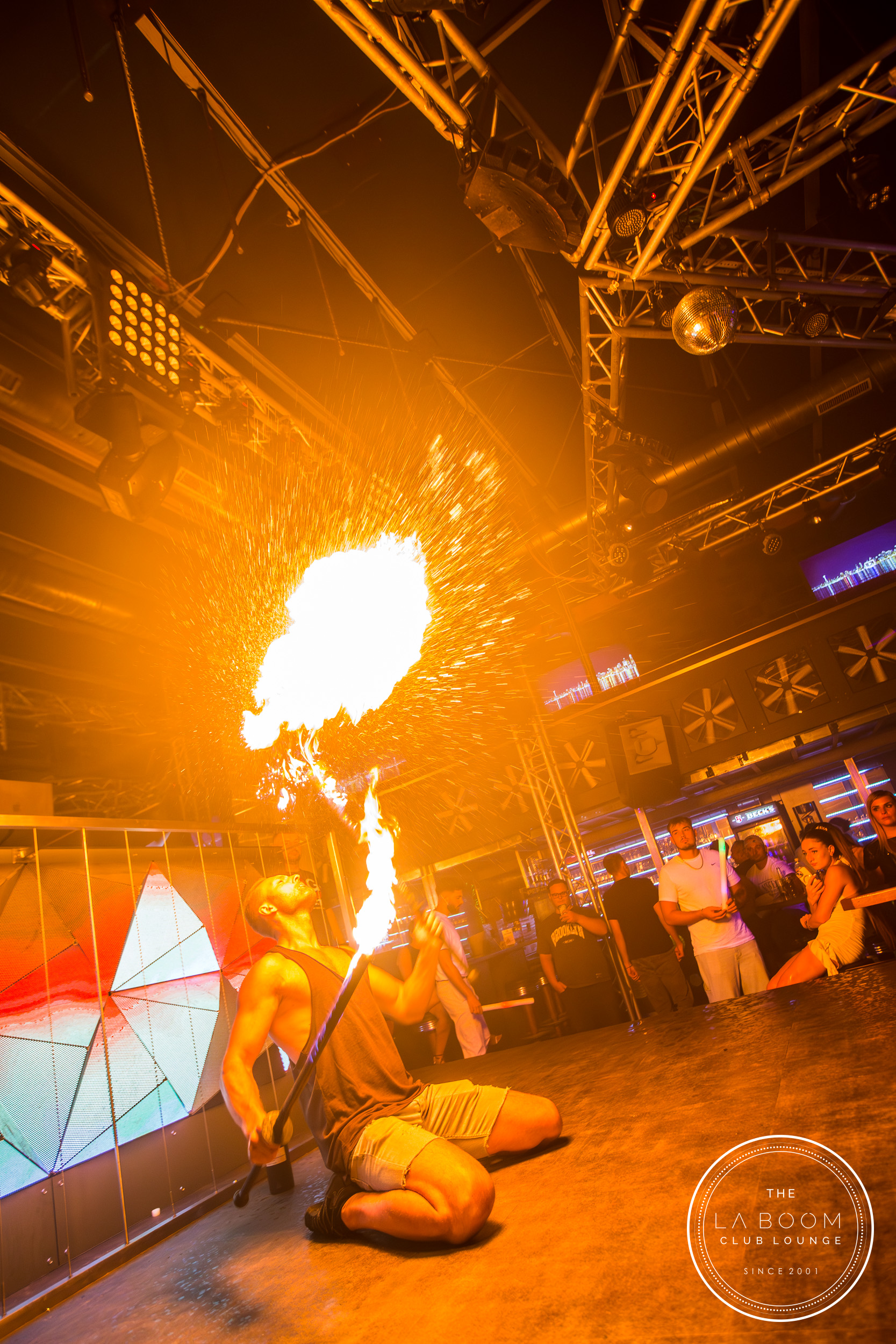 IMG 6211 Verbessert RR