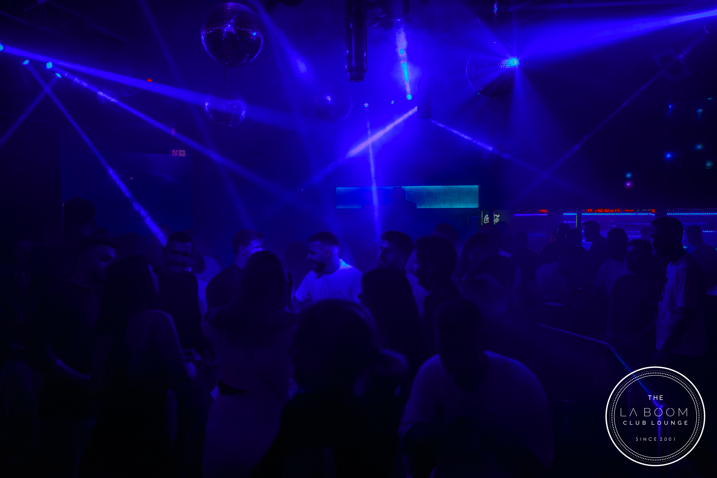 IMG 6339 Verbessert RR