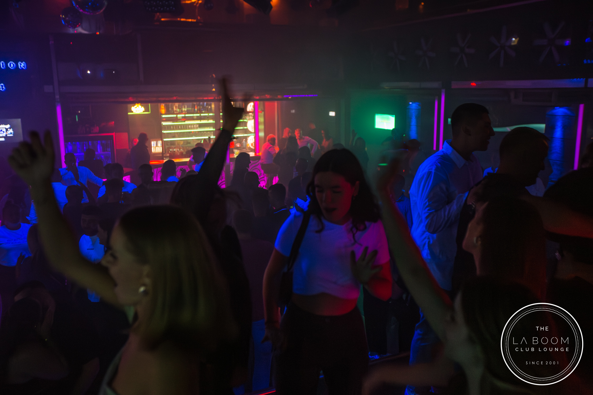 IMG 6407 Verbessert RR