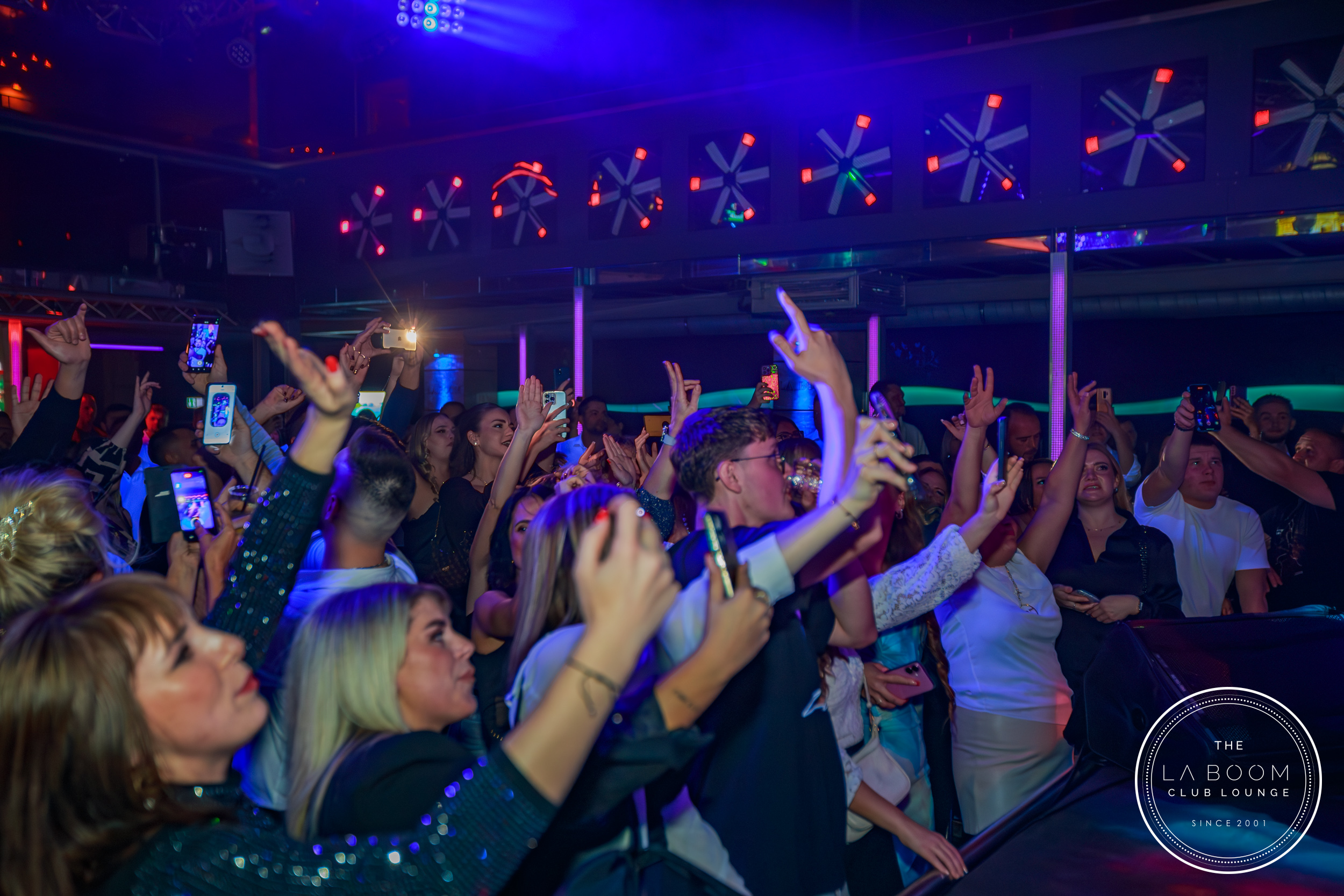 IMG 6710 Verbessert RR