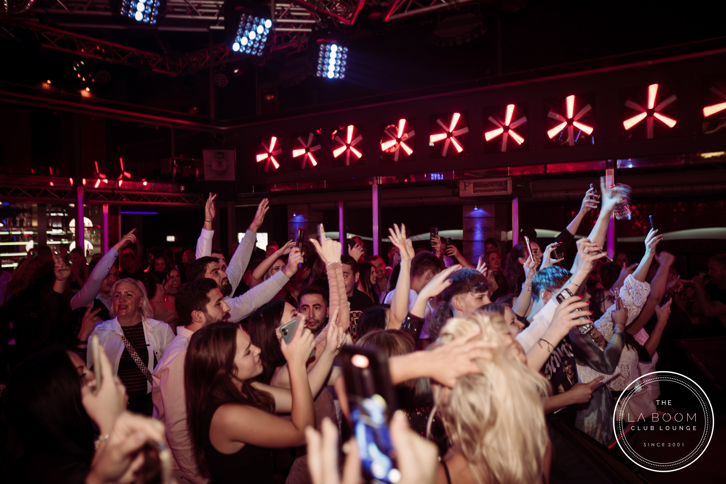 IMG 6805 Verbessert RR