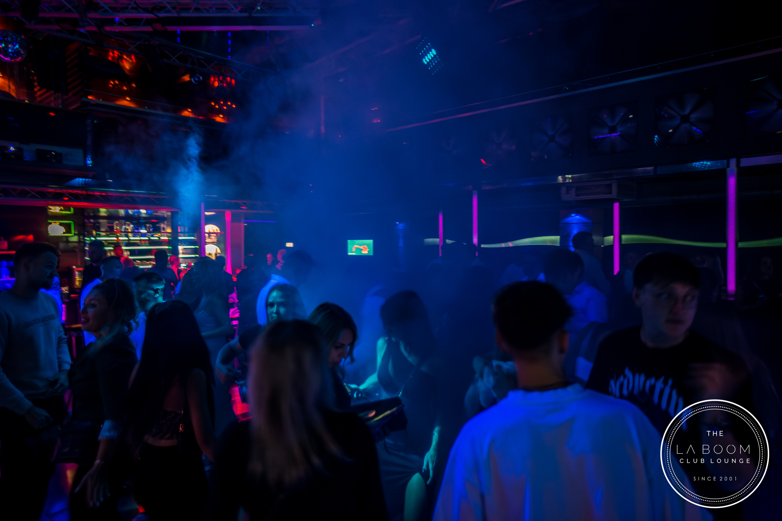 IMG 6817 Verbessert RR