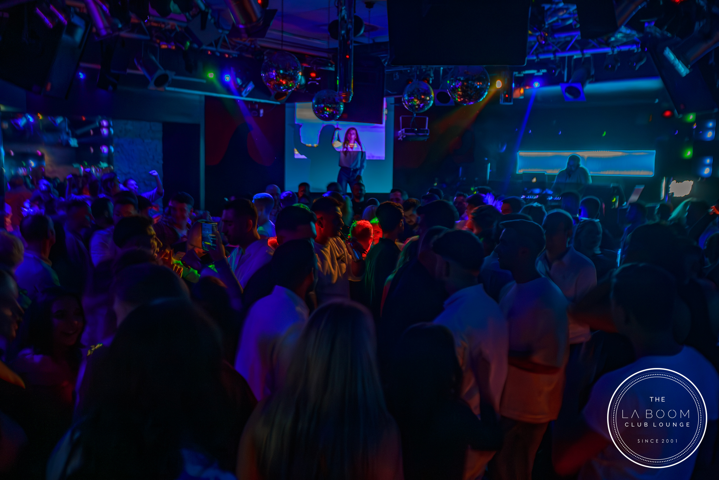 IMG 6946 Verbessert RR