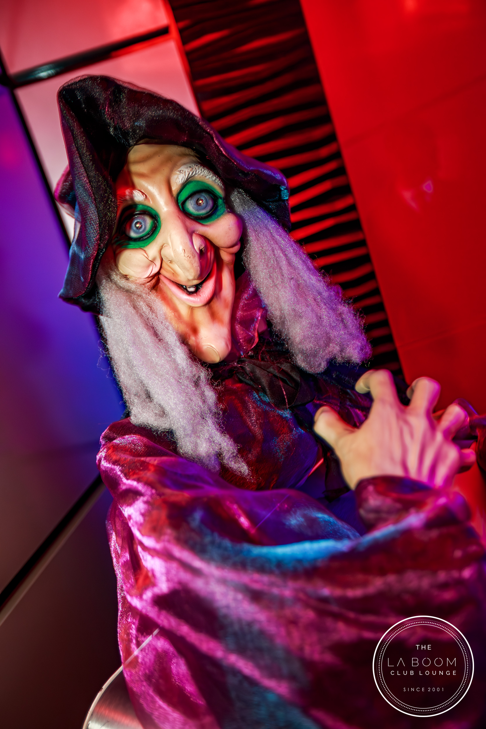 IMG 6971 Verbessert RR