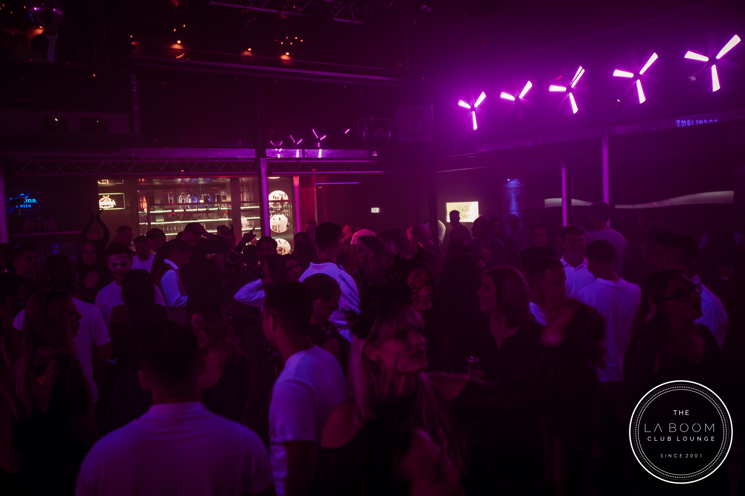 IMG 7005 Verbessert RR