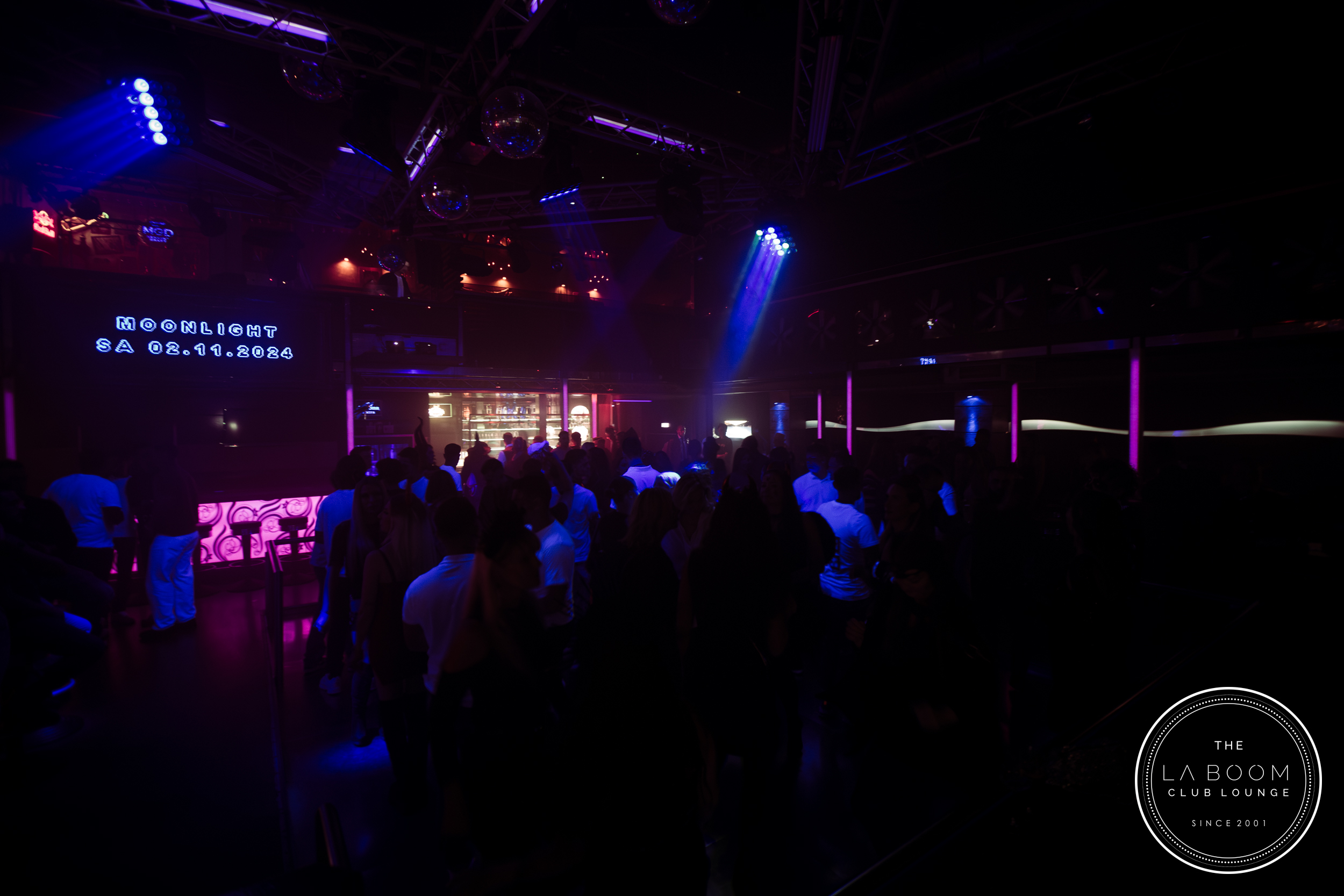 IMG 7010 Verbessert RR