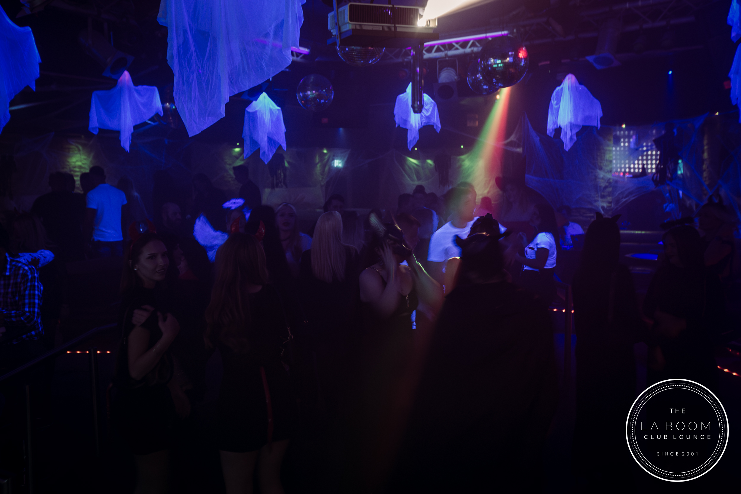 IMG 7024 Verbessert RR