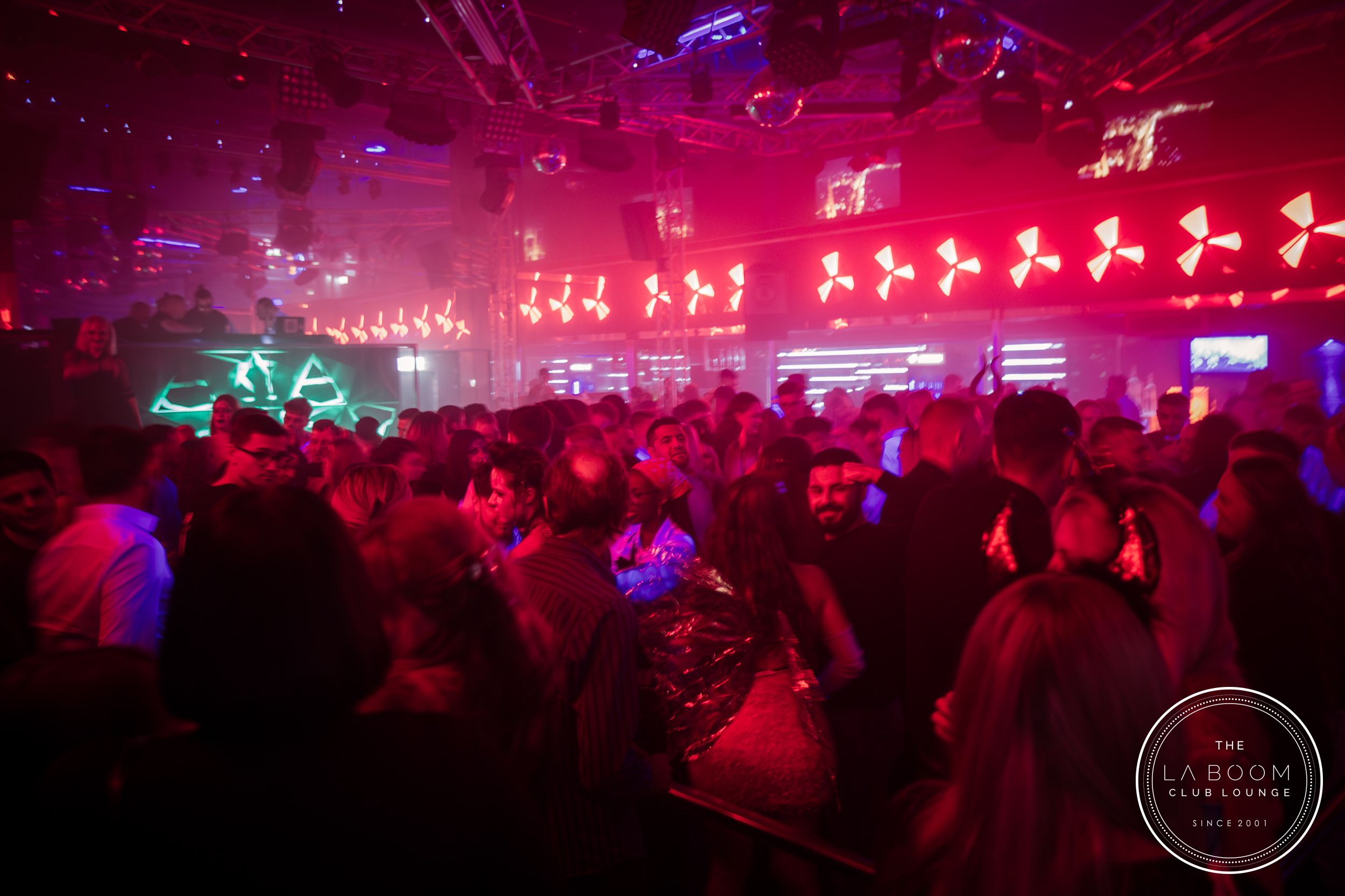 IMG 7037 Verbessert RR