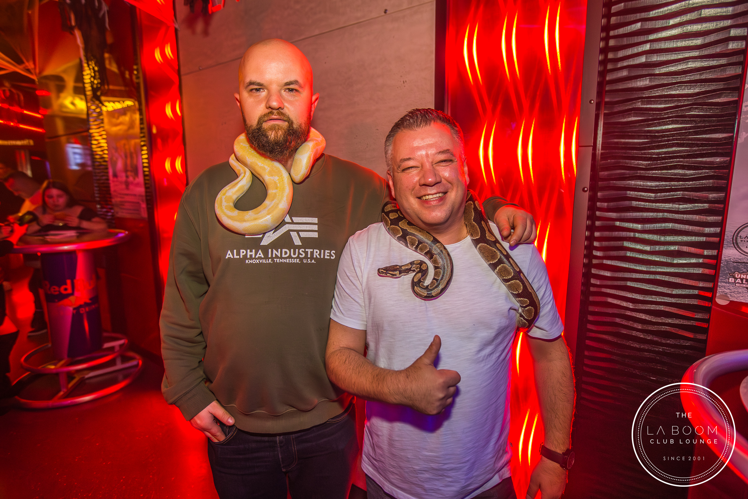 IMG 7098 Verbessert RR