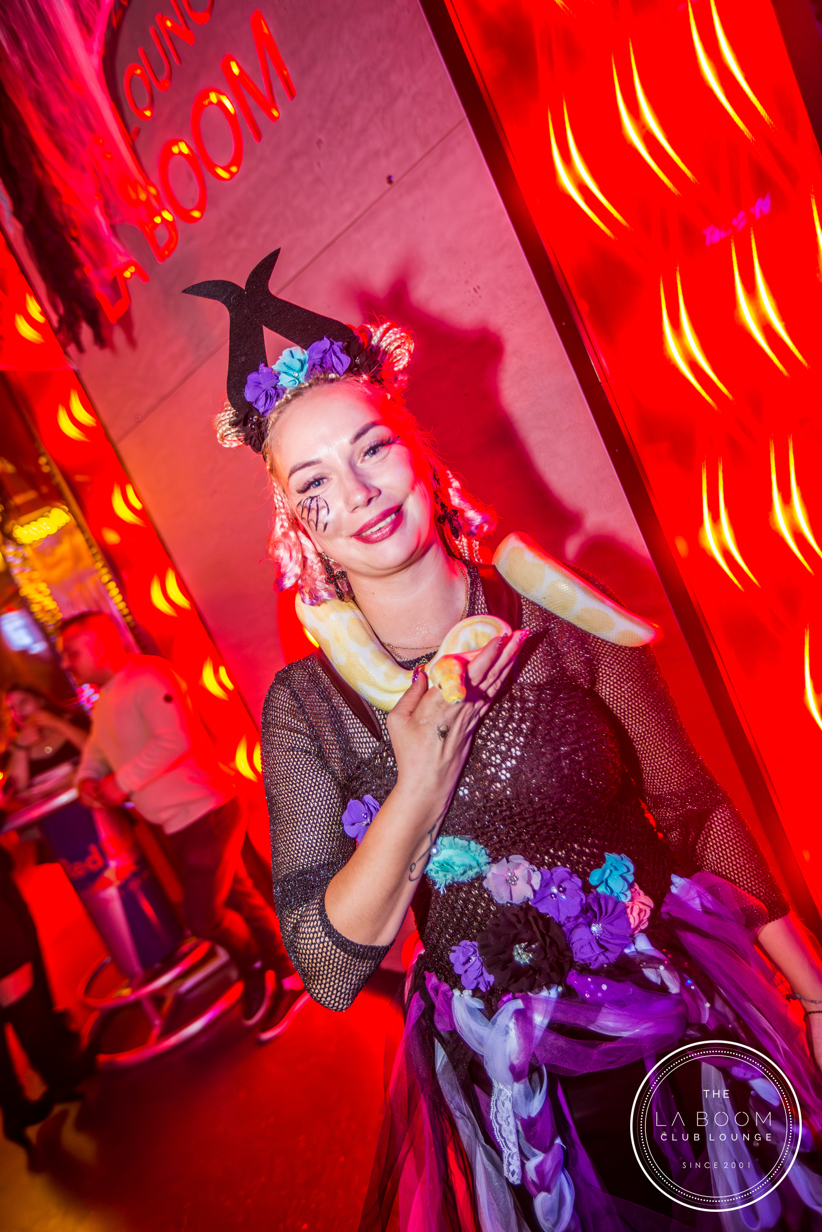 IMG 7101 Verbessert RR