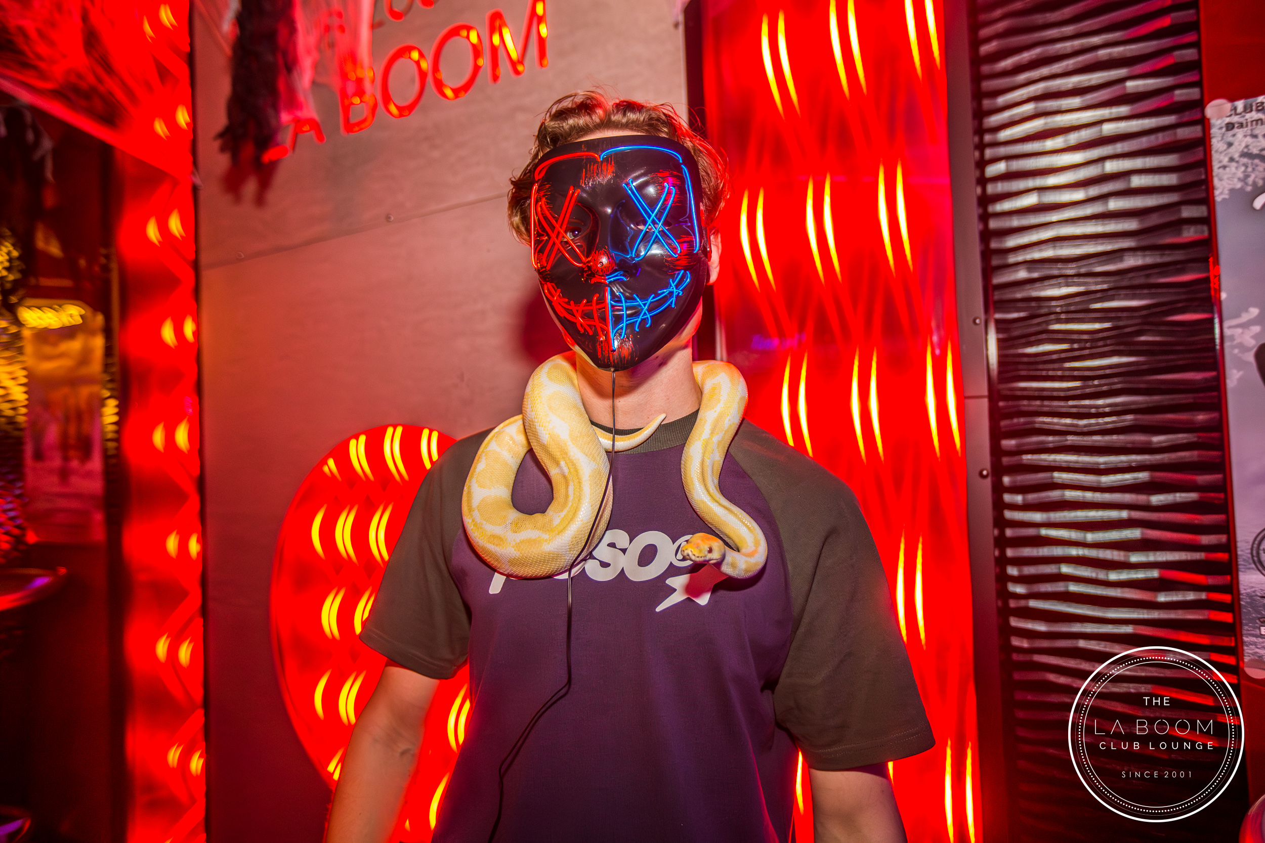 IMG 7102 Verbessert RR