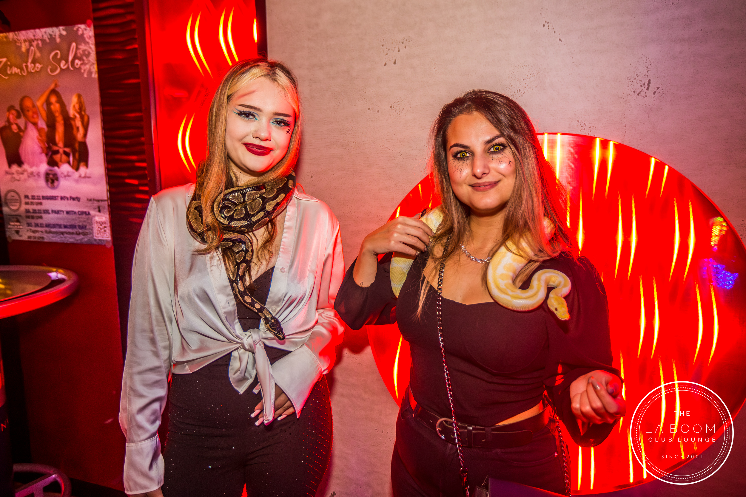 IMG 7103 Verbessert RR