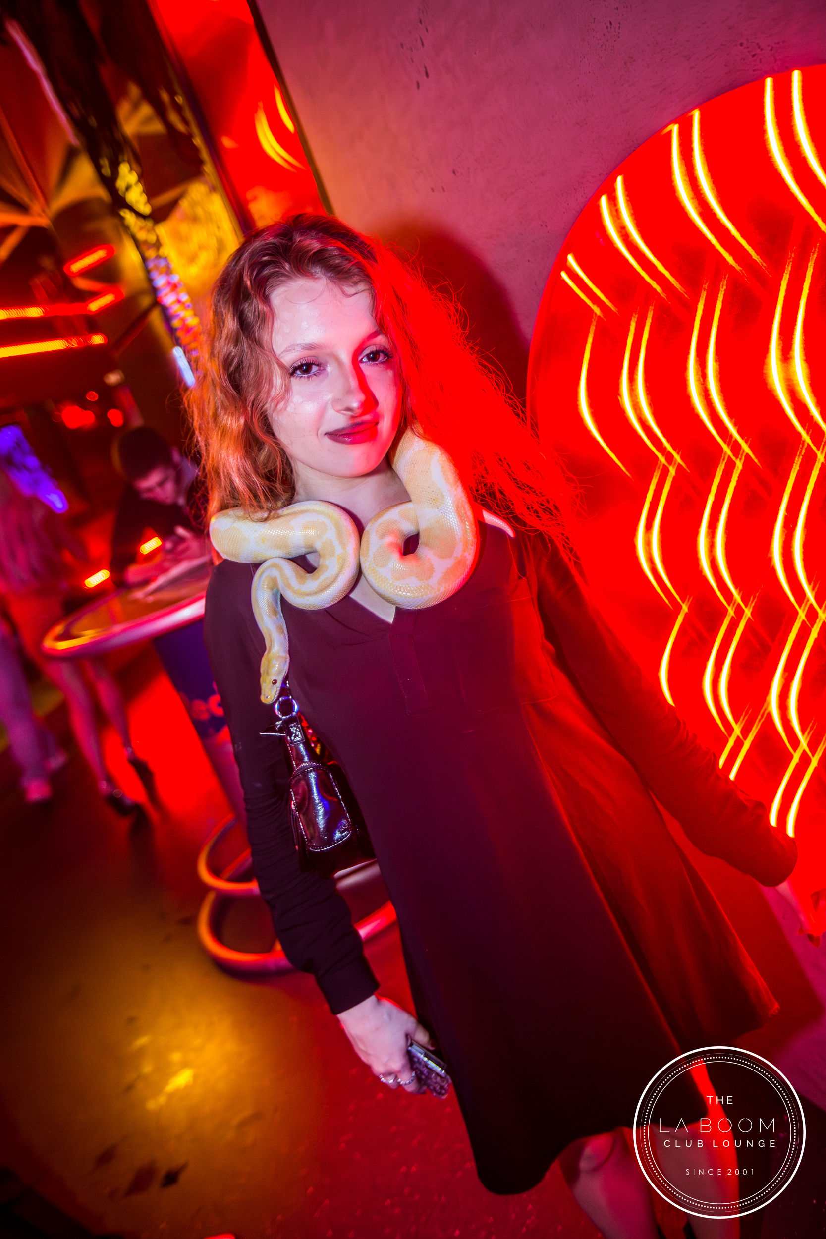 IMG 7109 Verbessert RR