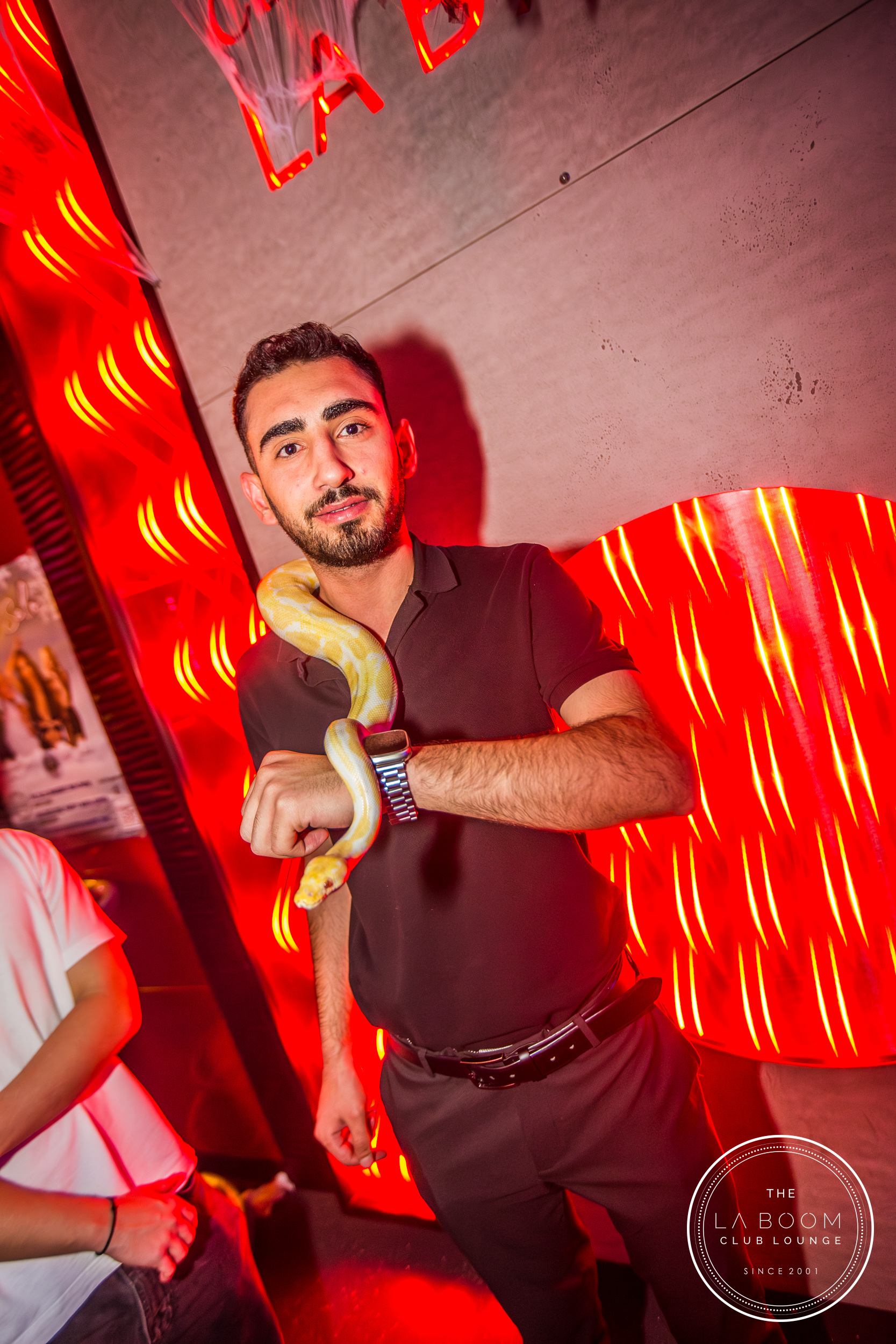 IMG 7121 Verbessert RR