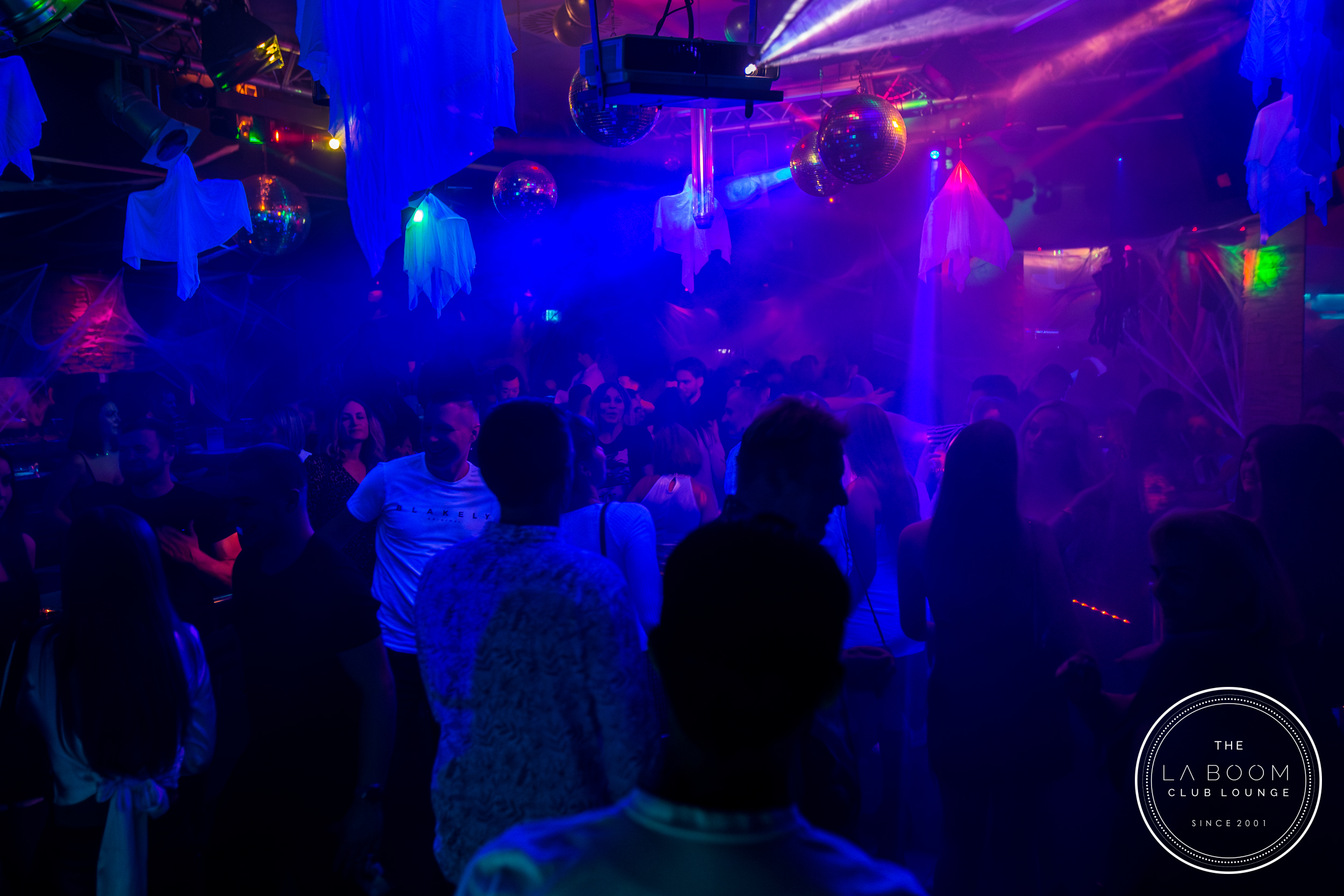 IMG 7186 Verbessert RR