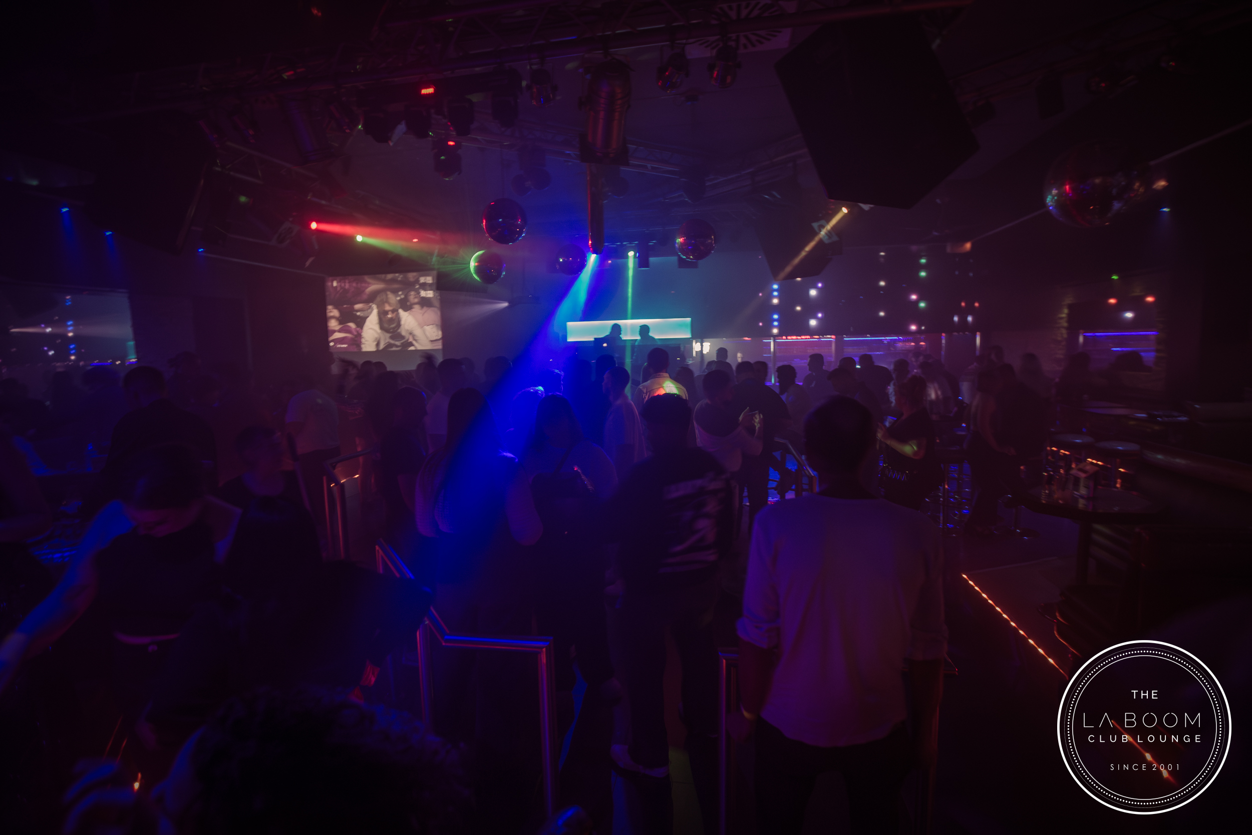 IMG 7231 Verbessert RR