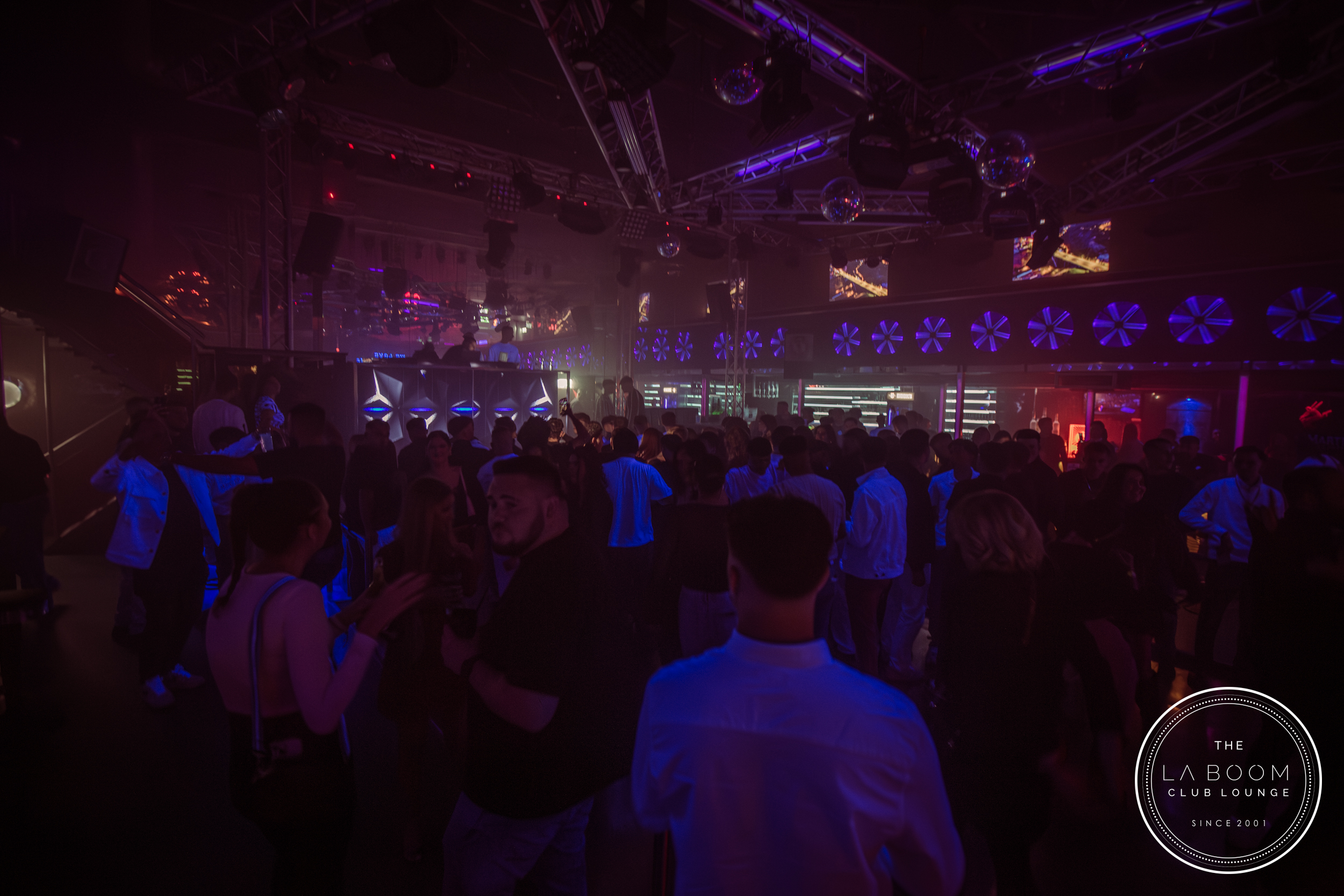 IMG 7237 Verbessert RR