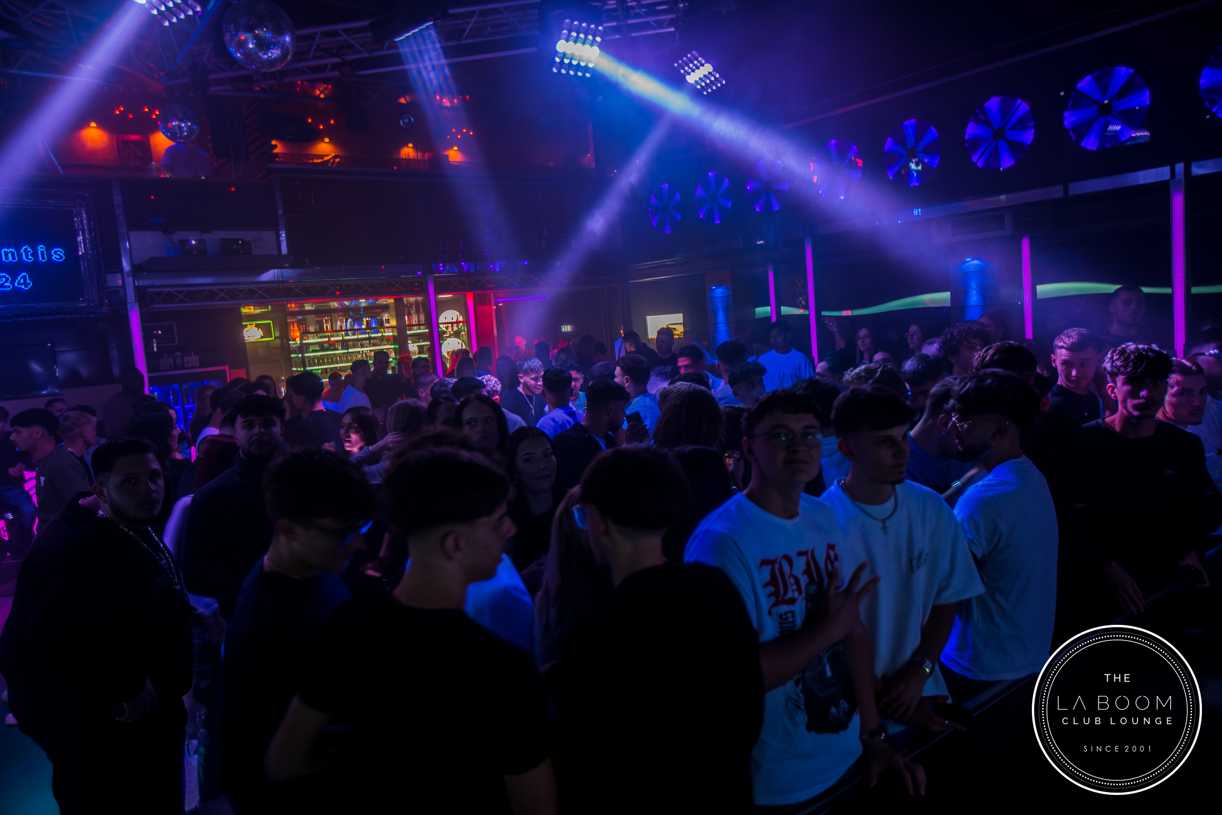 IMG 7246 Verbessert RR