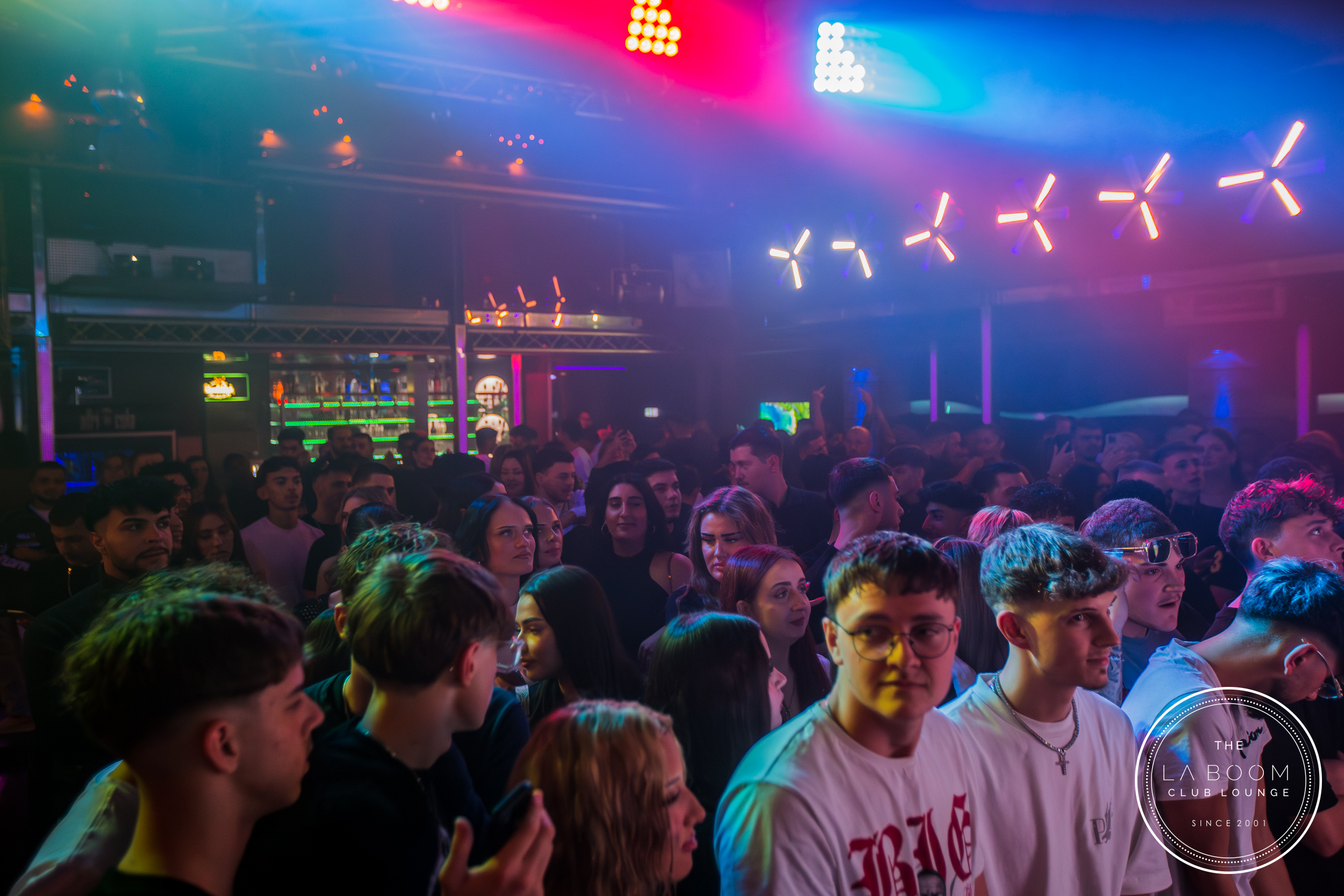 IMG 7253 Verbessert RR