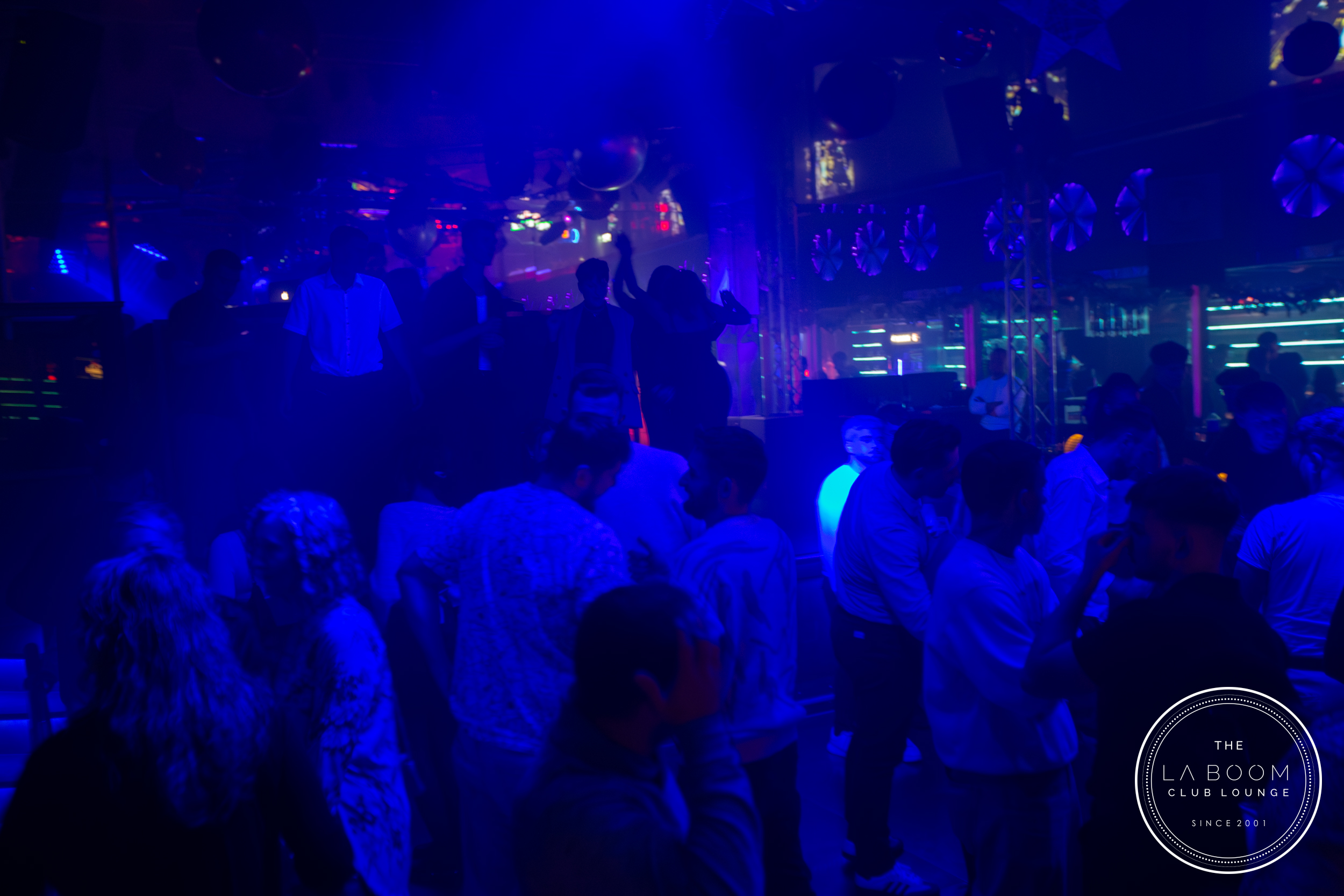 IMG 7720 Verbessert RR