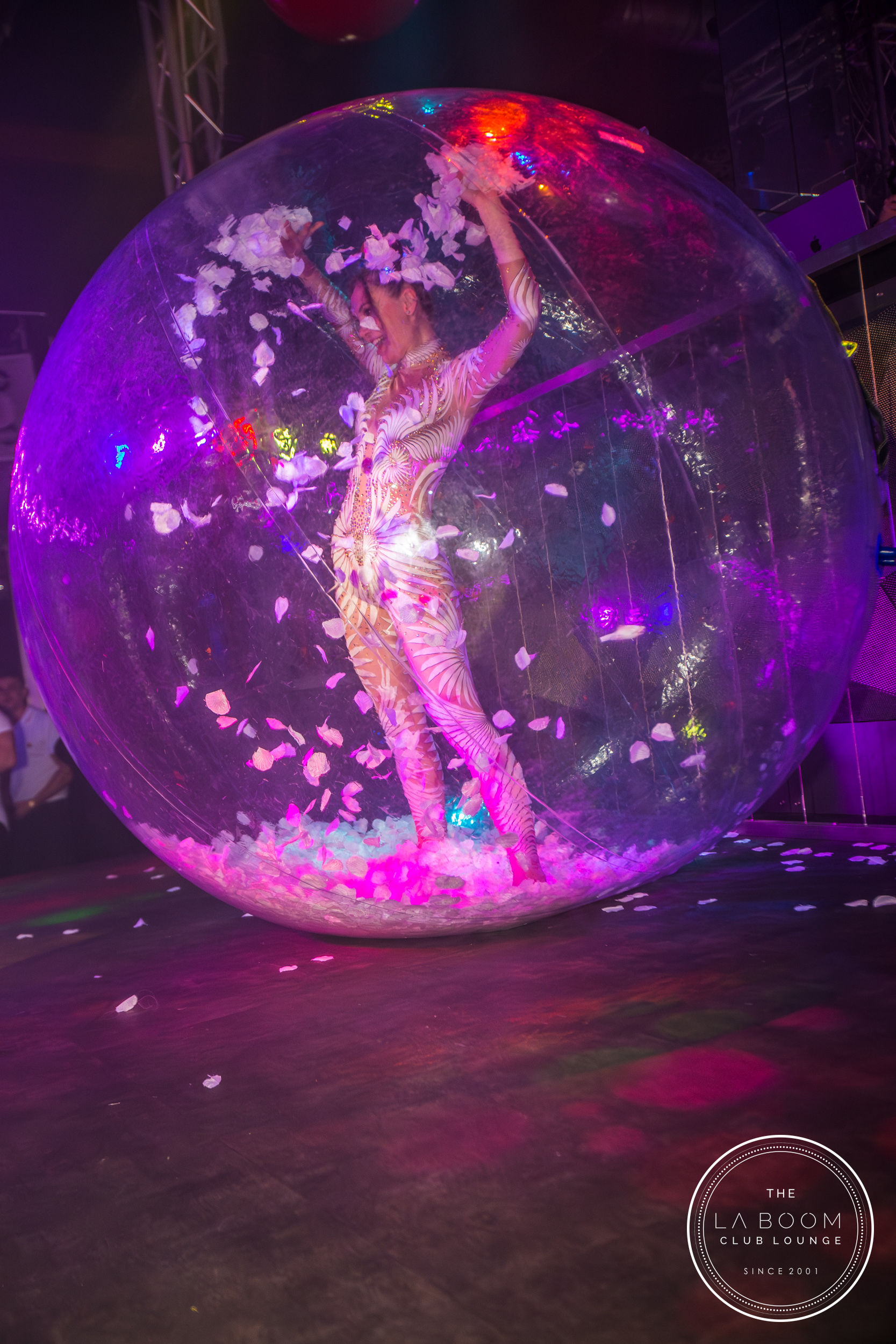 IMG 7822 Verbessert RR