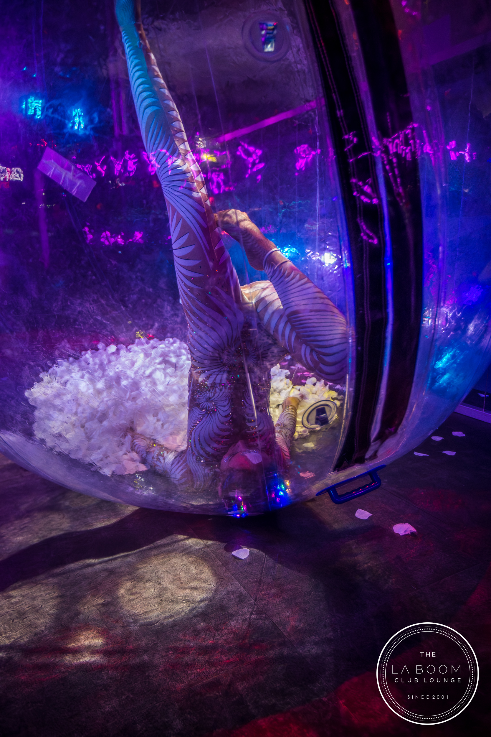 IMG 7841 Verbessert RR