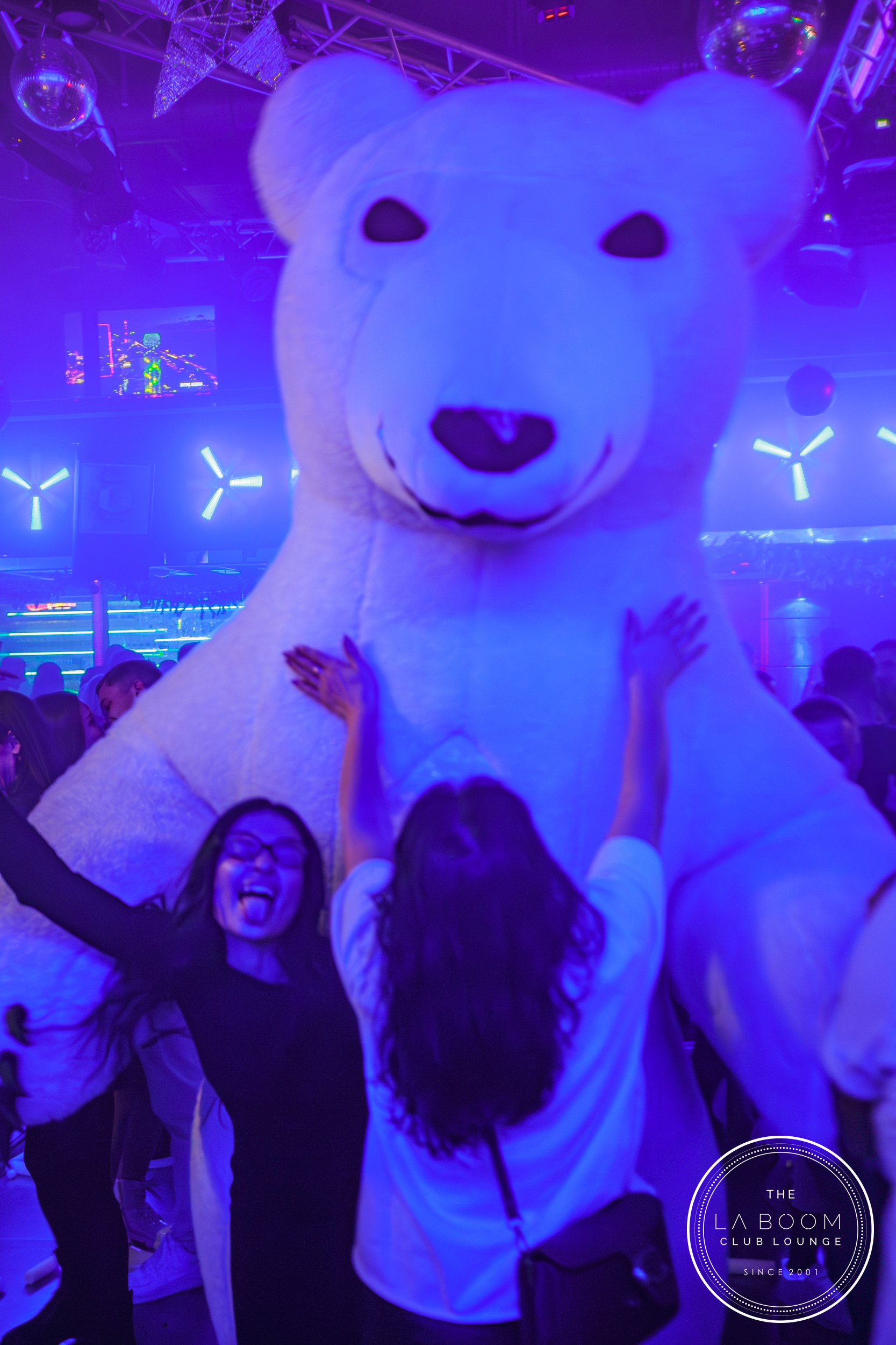 IMG 7882 Verbessert RR