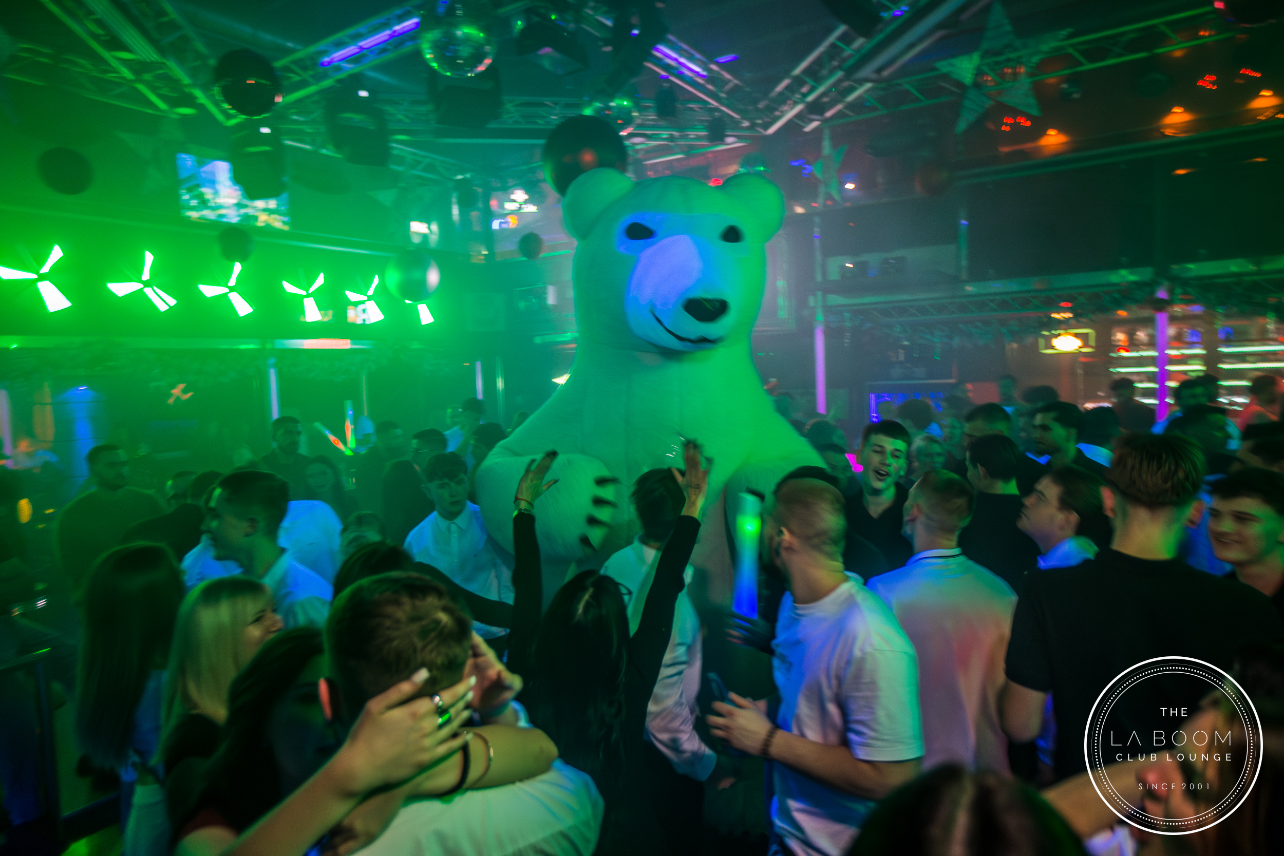 IMG 7893 Verbessert RR