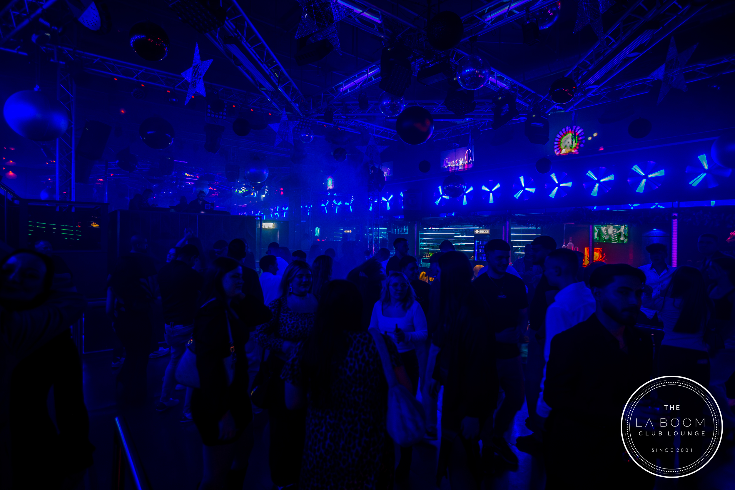 IMG 8255 Verbessert RR