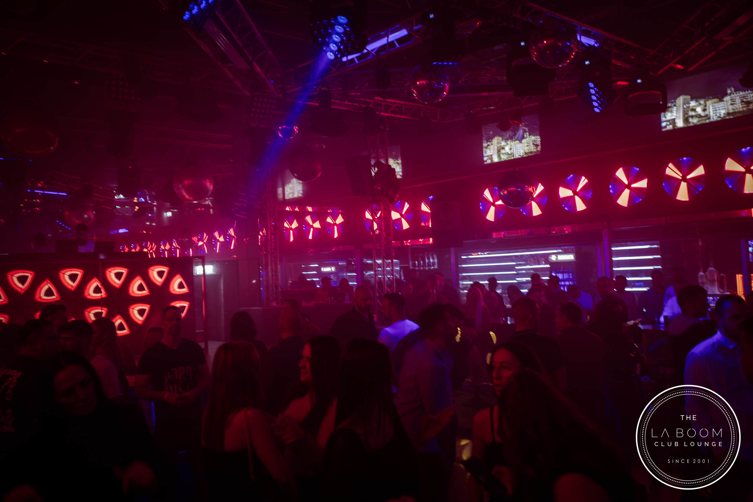 IMG 8287 Verbessert RR