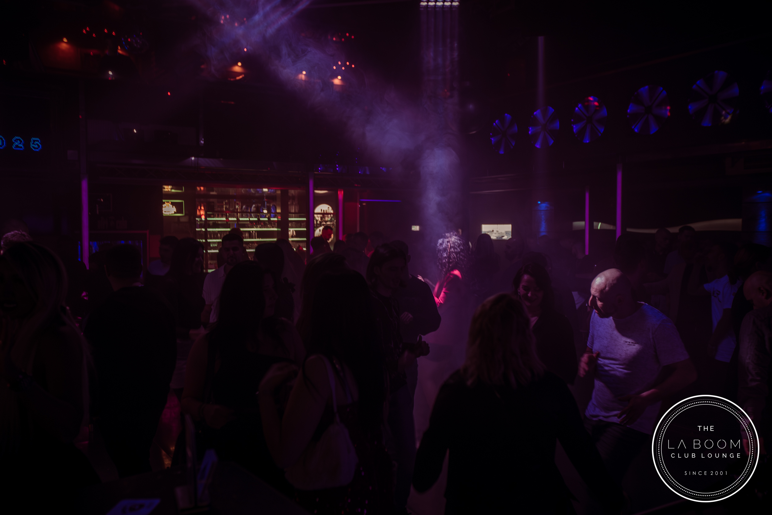 IMG 8295 Verbessert RR