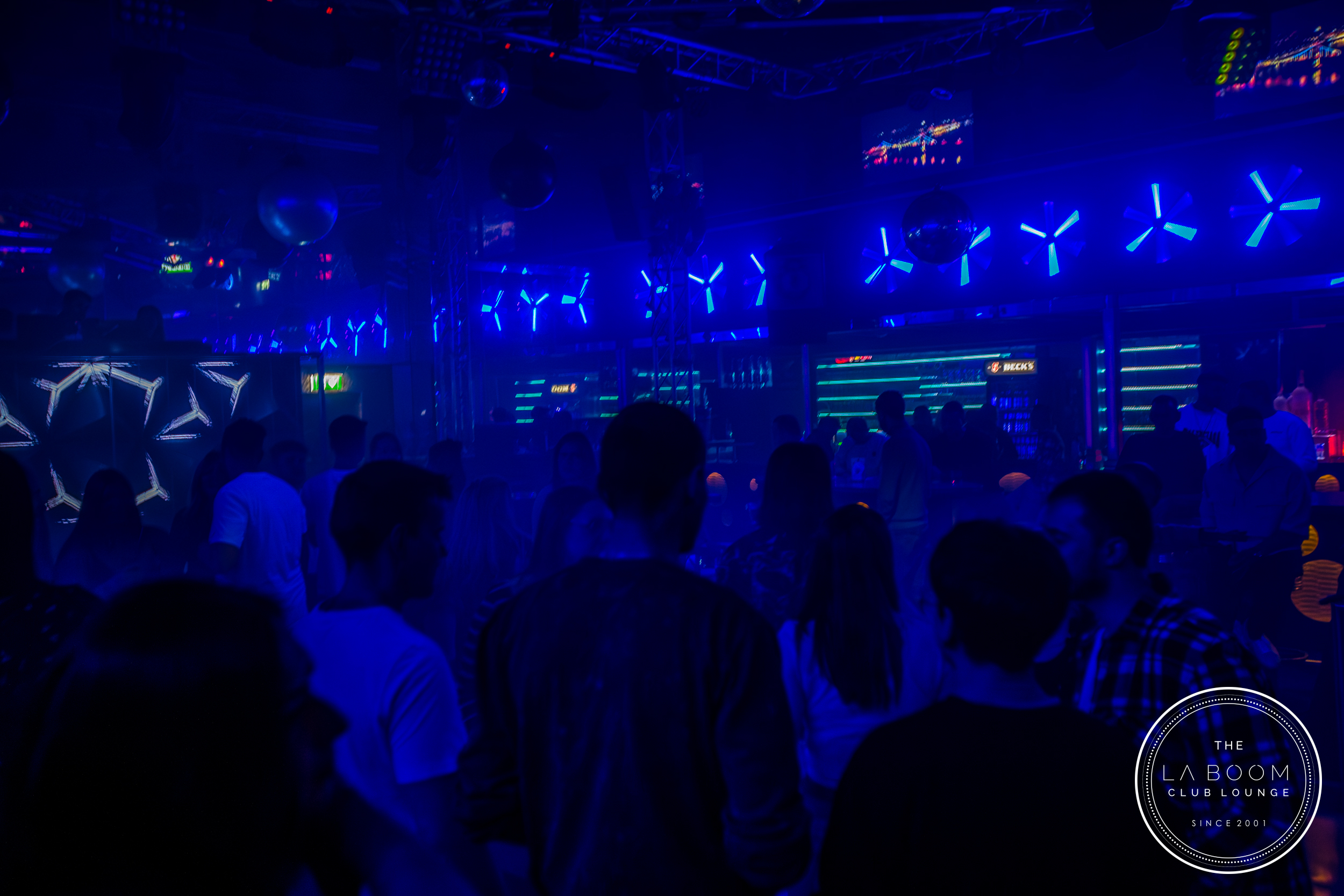 IMG 8310 Verbessert RR