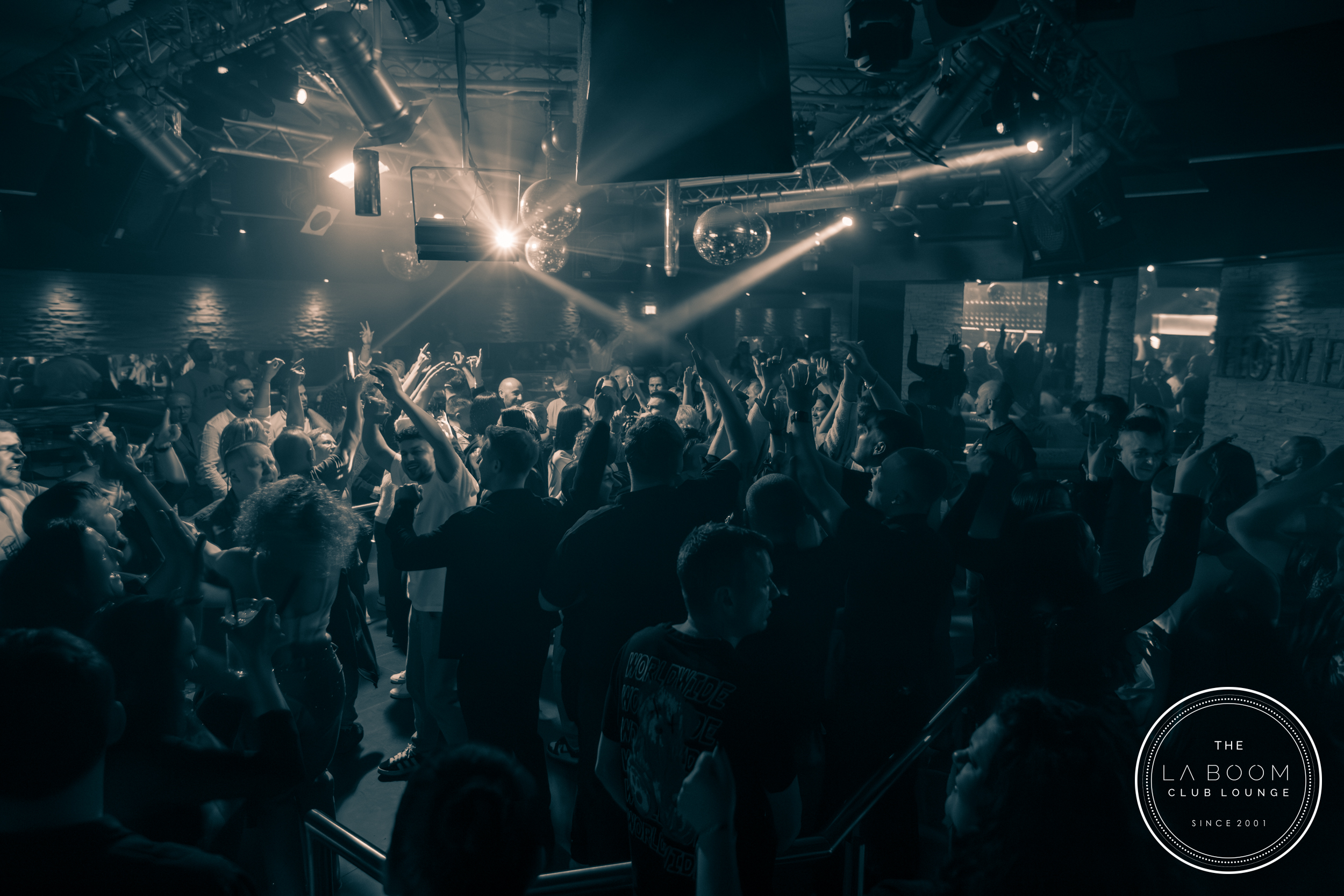 IMG 8315 Verbessert RR