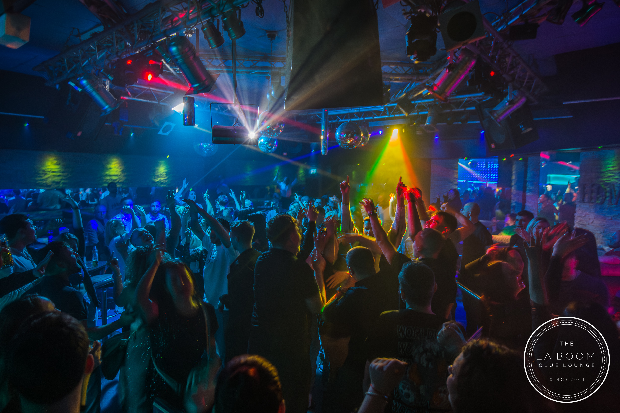 IMG 8316 Verbessert RR