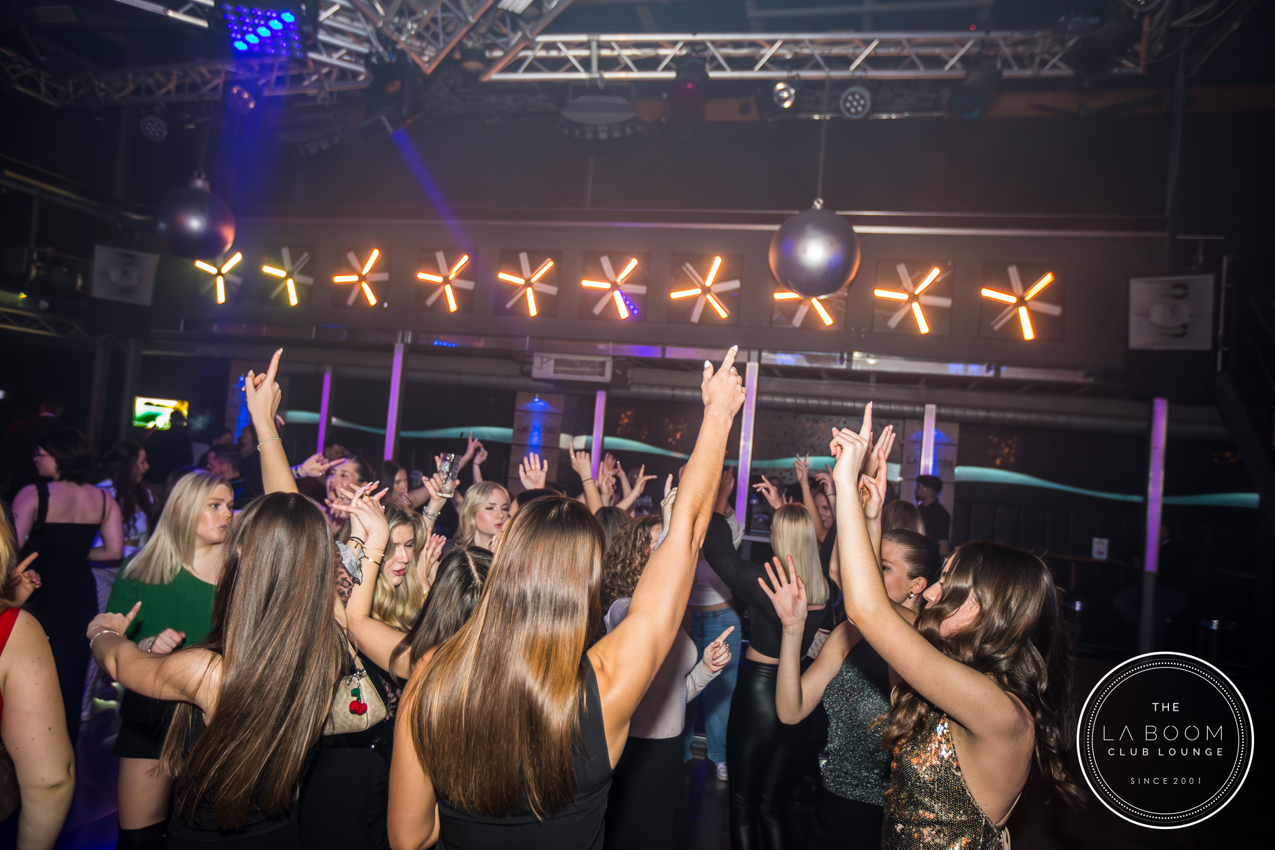 IMG 8557 Verbessert RR