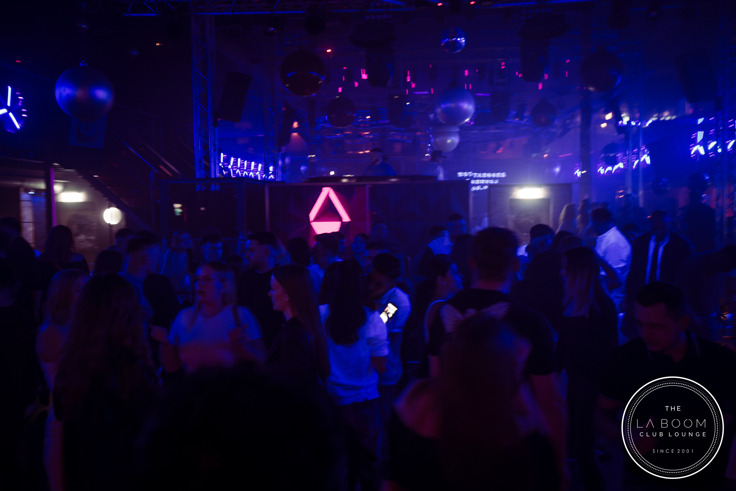 IMG 8592 Verbessert RR