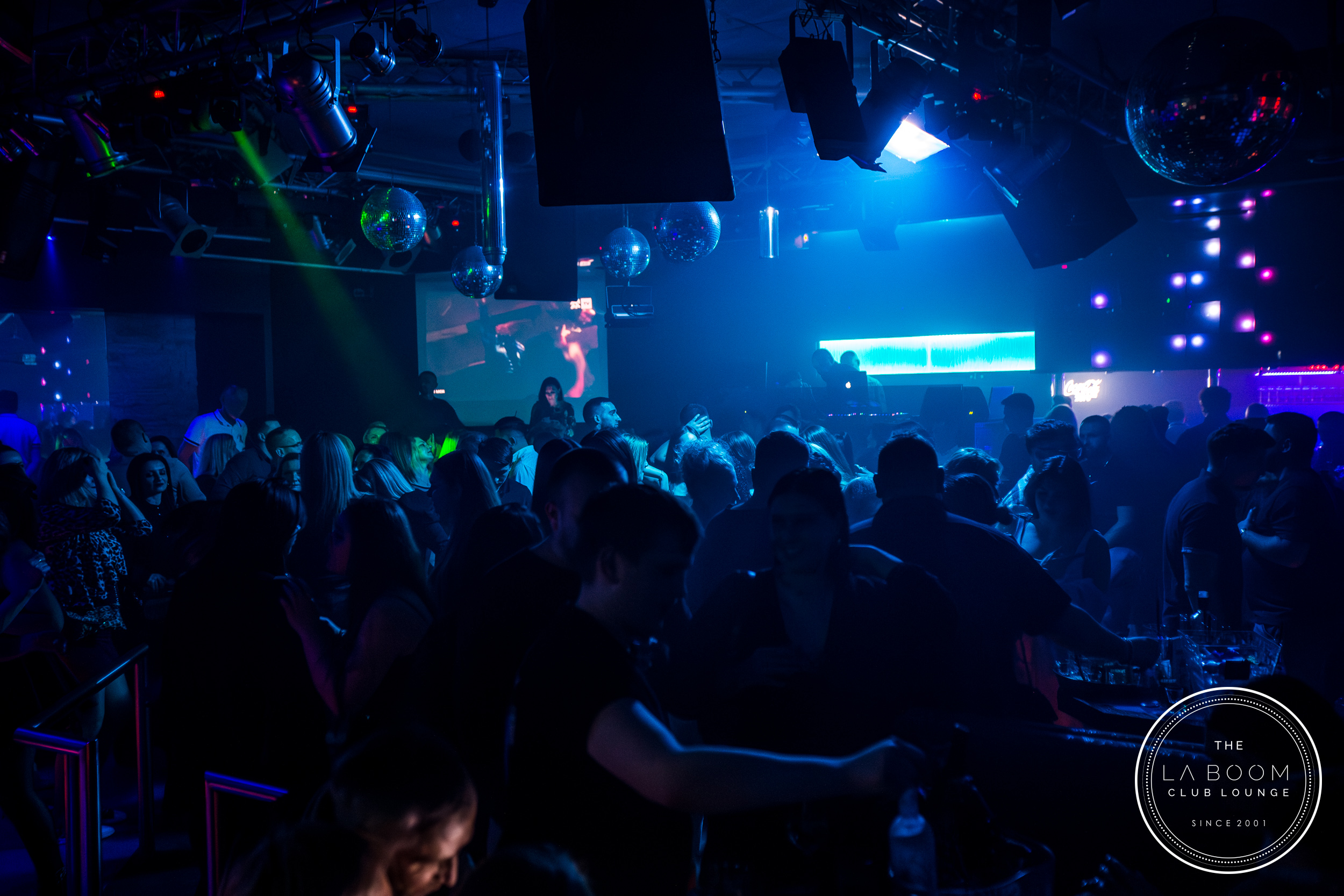 IMG 8599 Verbessert RR