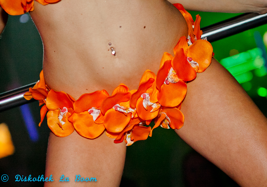 20121111 IMG 8399