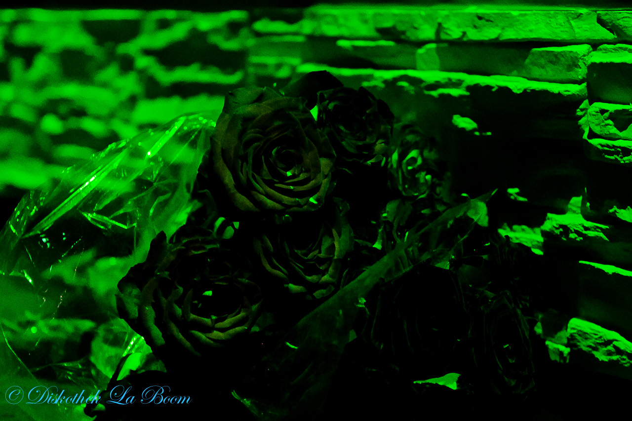 20120617 IMG 1987